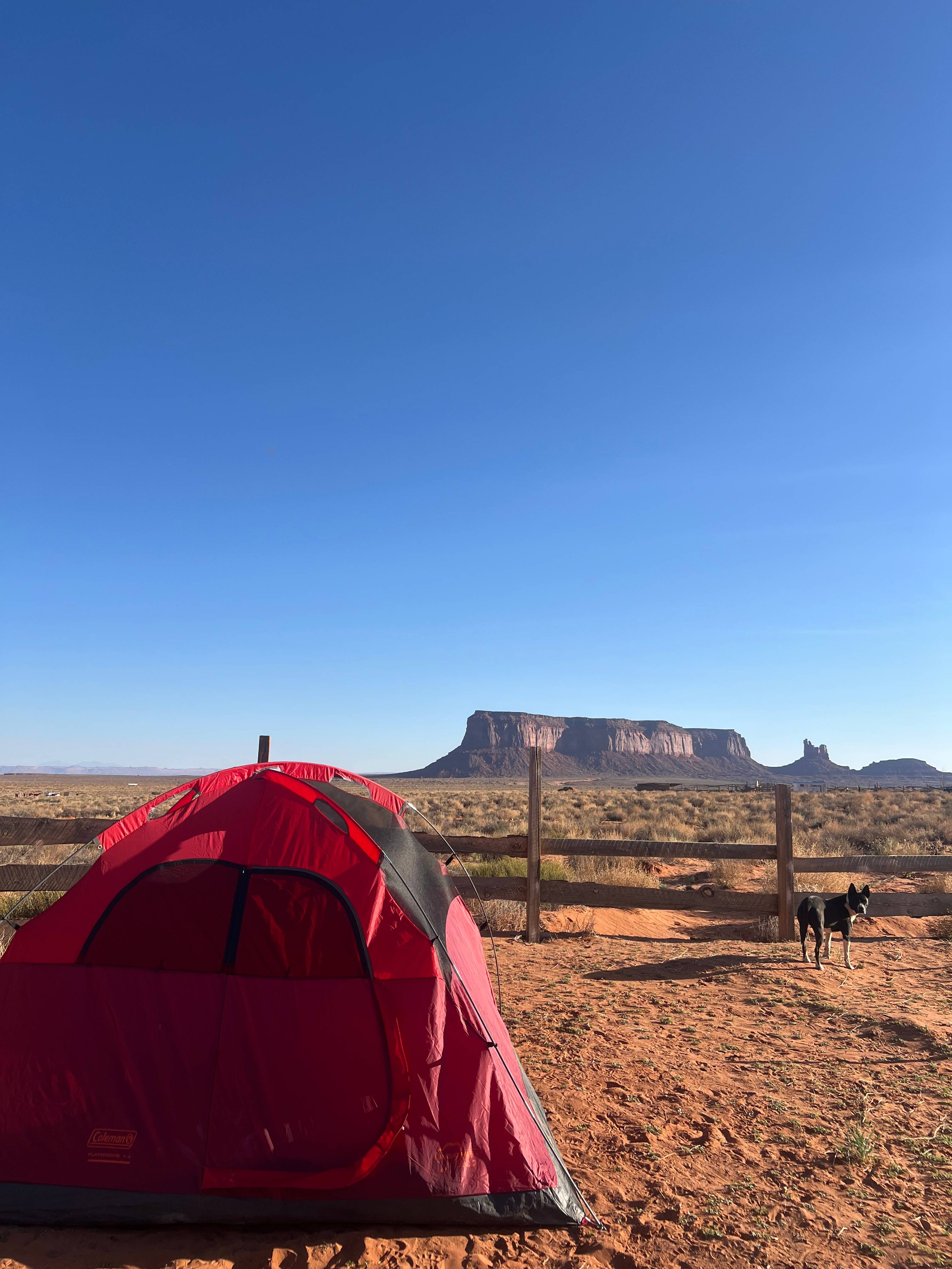 Humming Bird Campsite