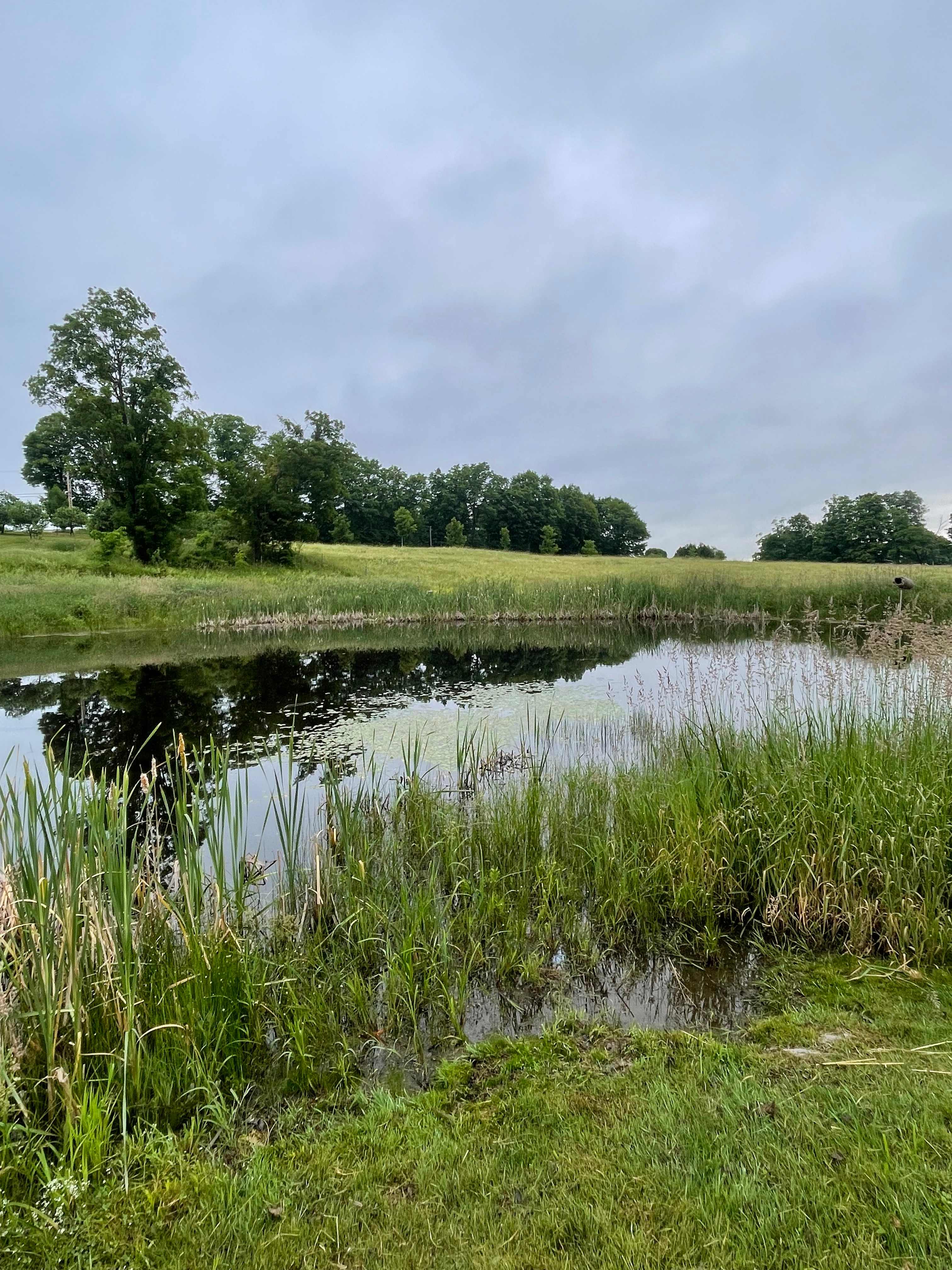 Old Stone House Museum VT