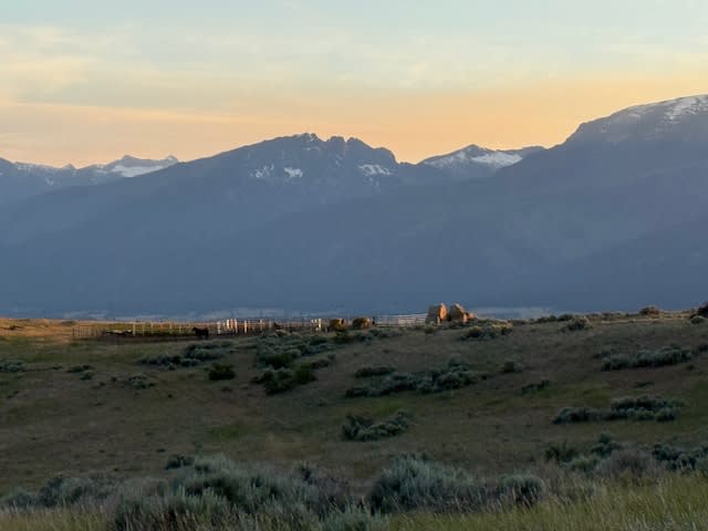 Bear Camp