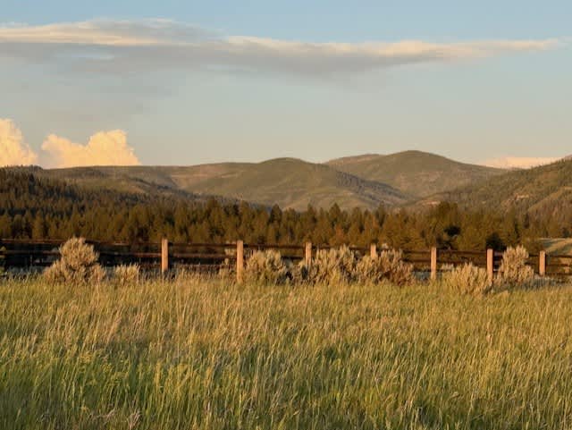 Bear Camp