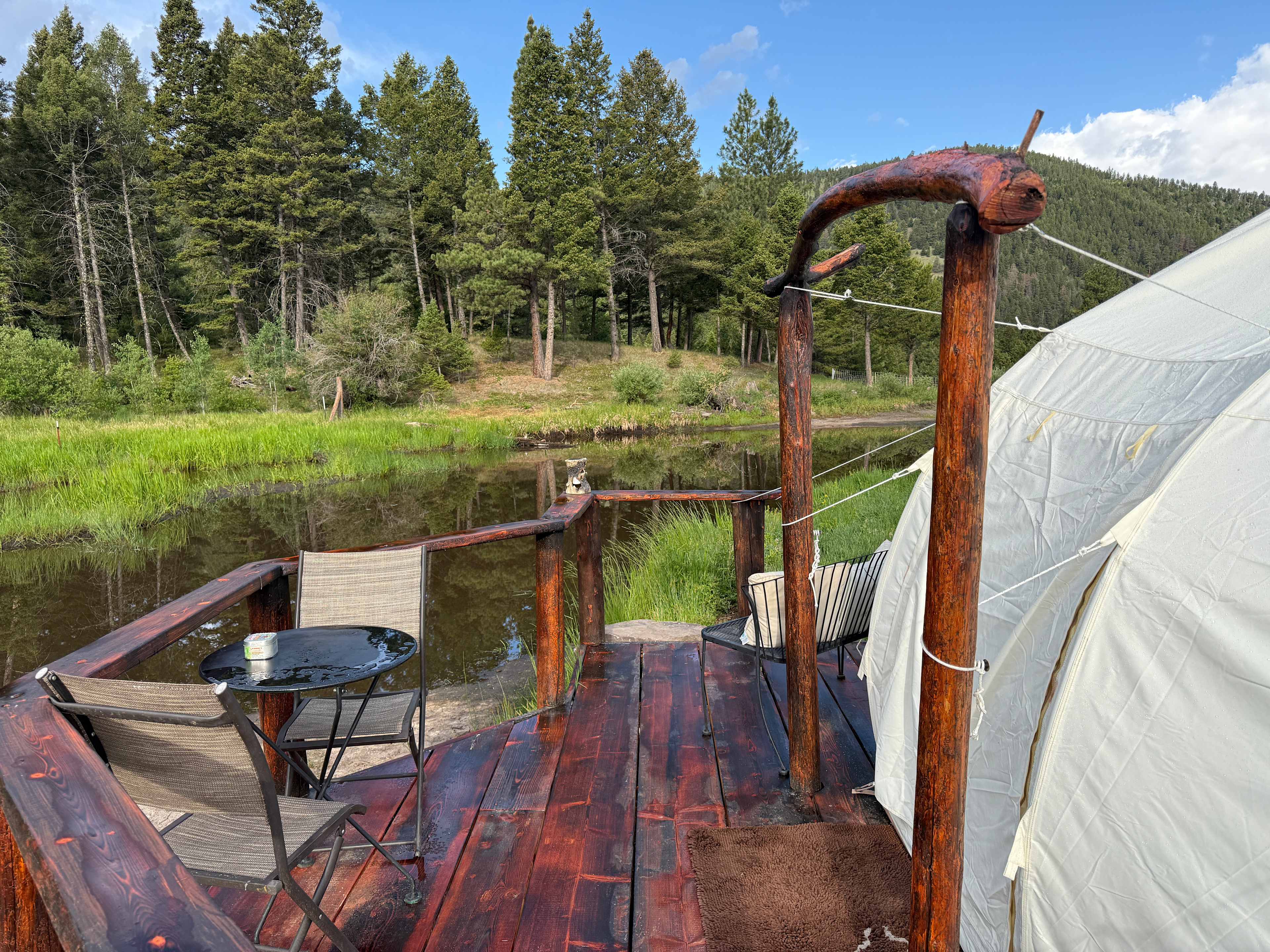Mile High Mountain Homestead