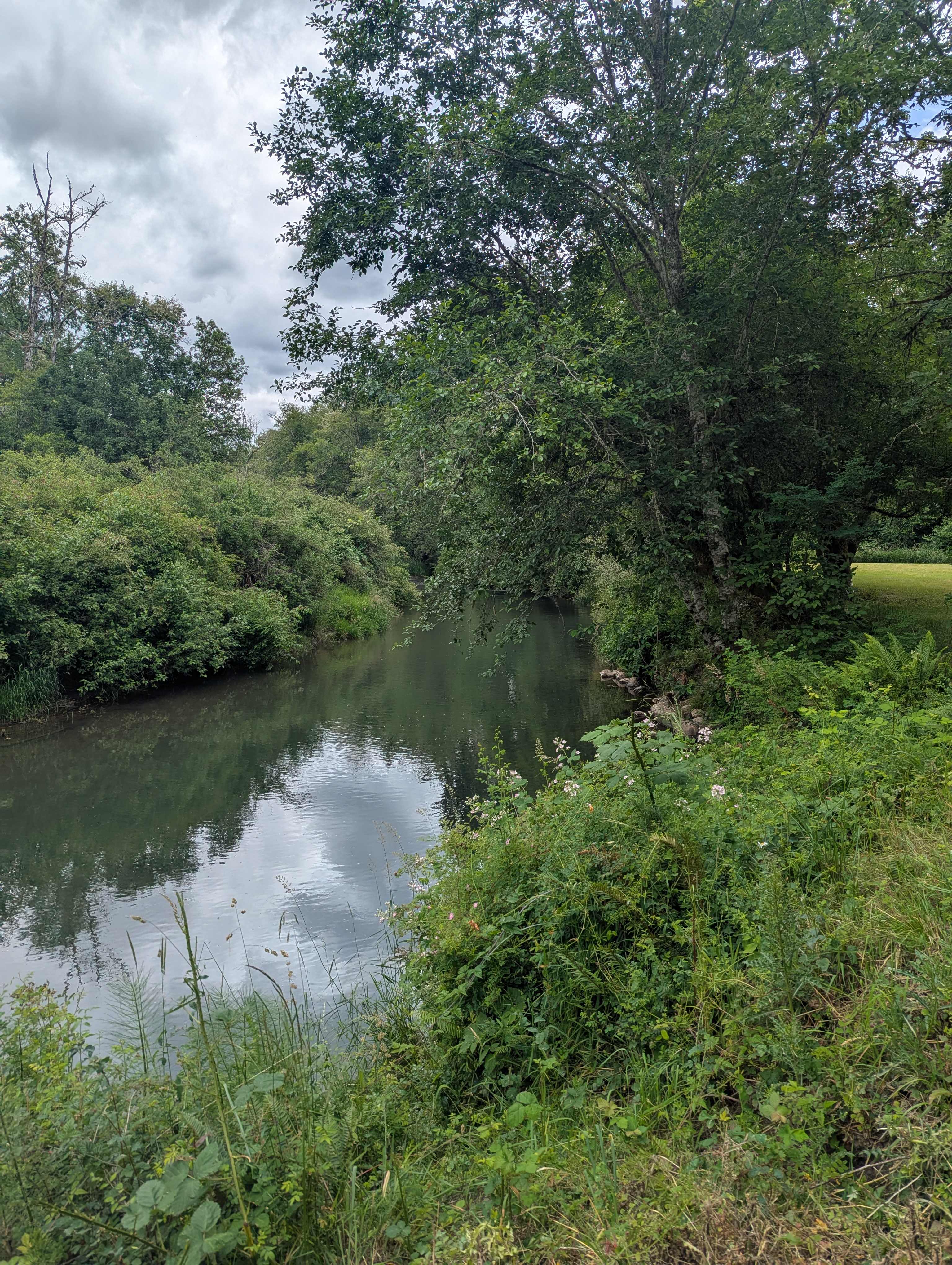 Wild Roots River Oasis