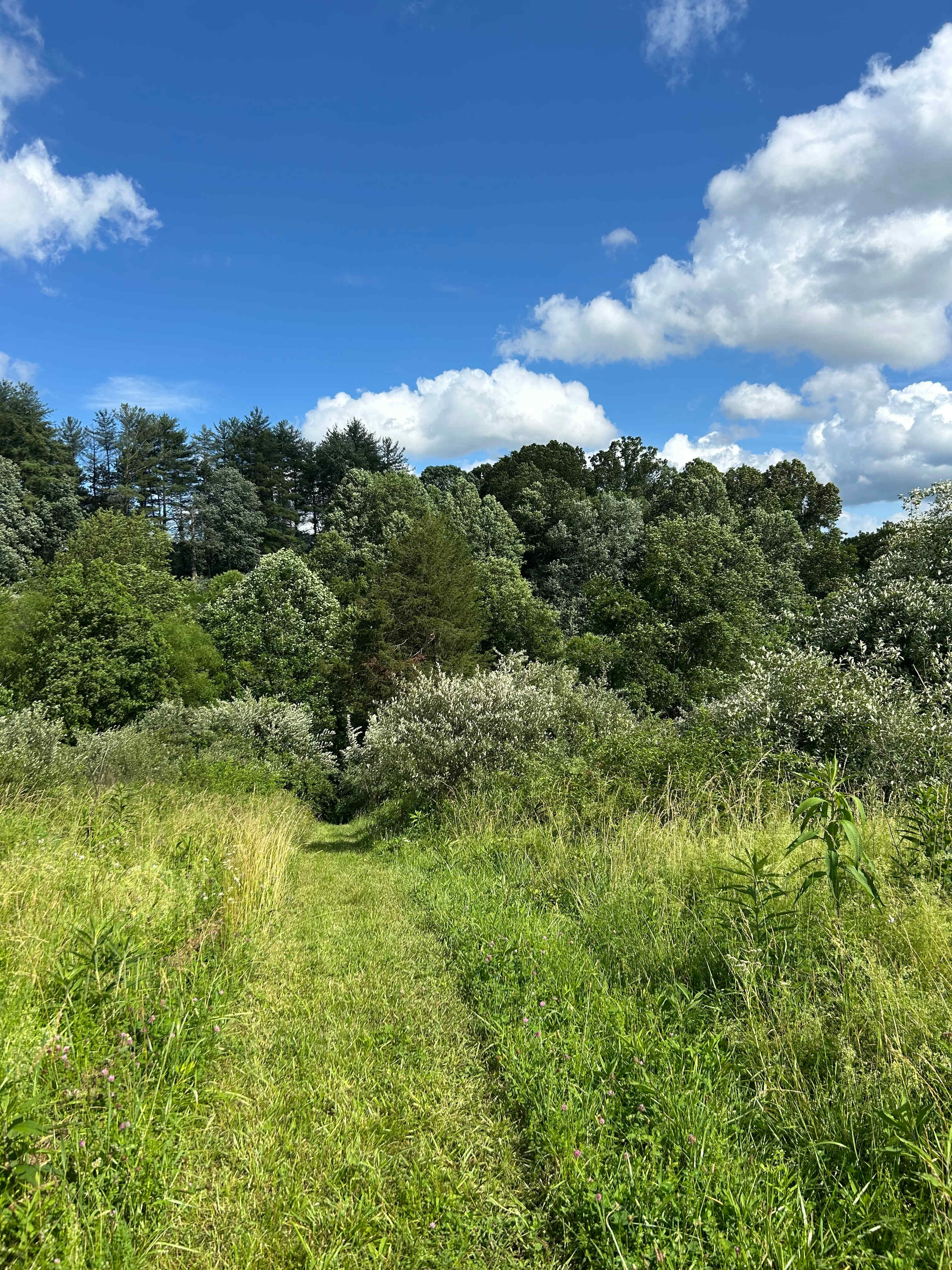 Trails on the property