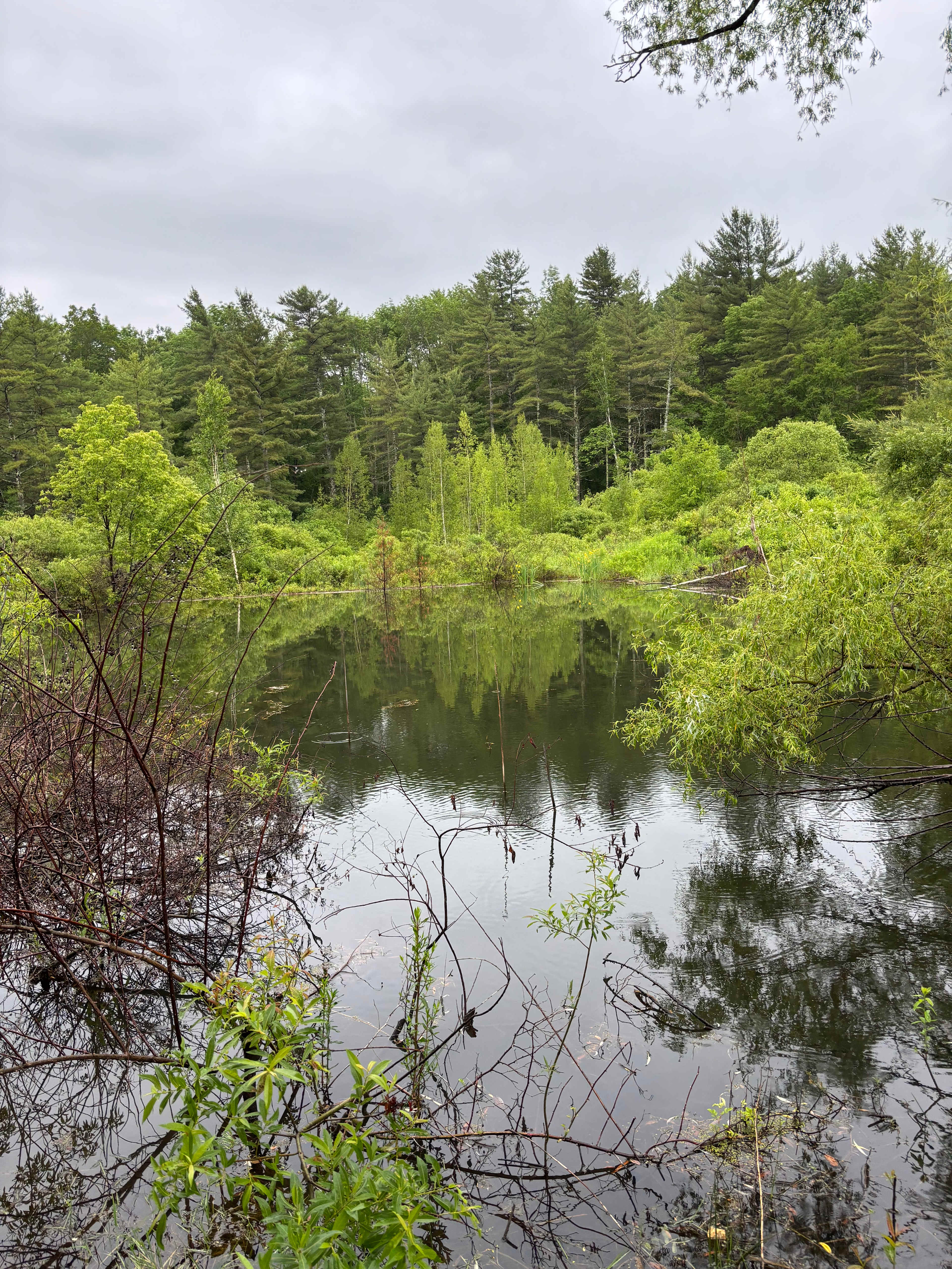 Timbertrail Farm