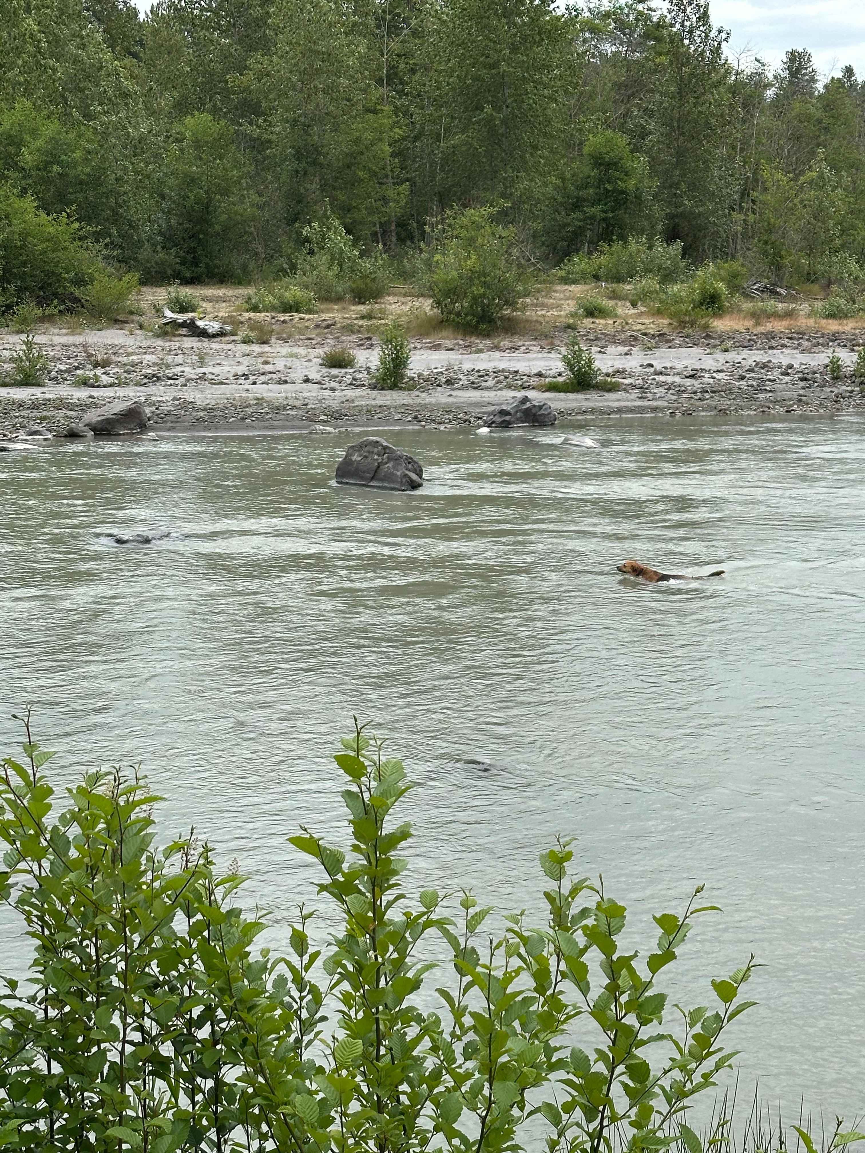 Otter Pond Riverfront Getaway