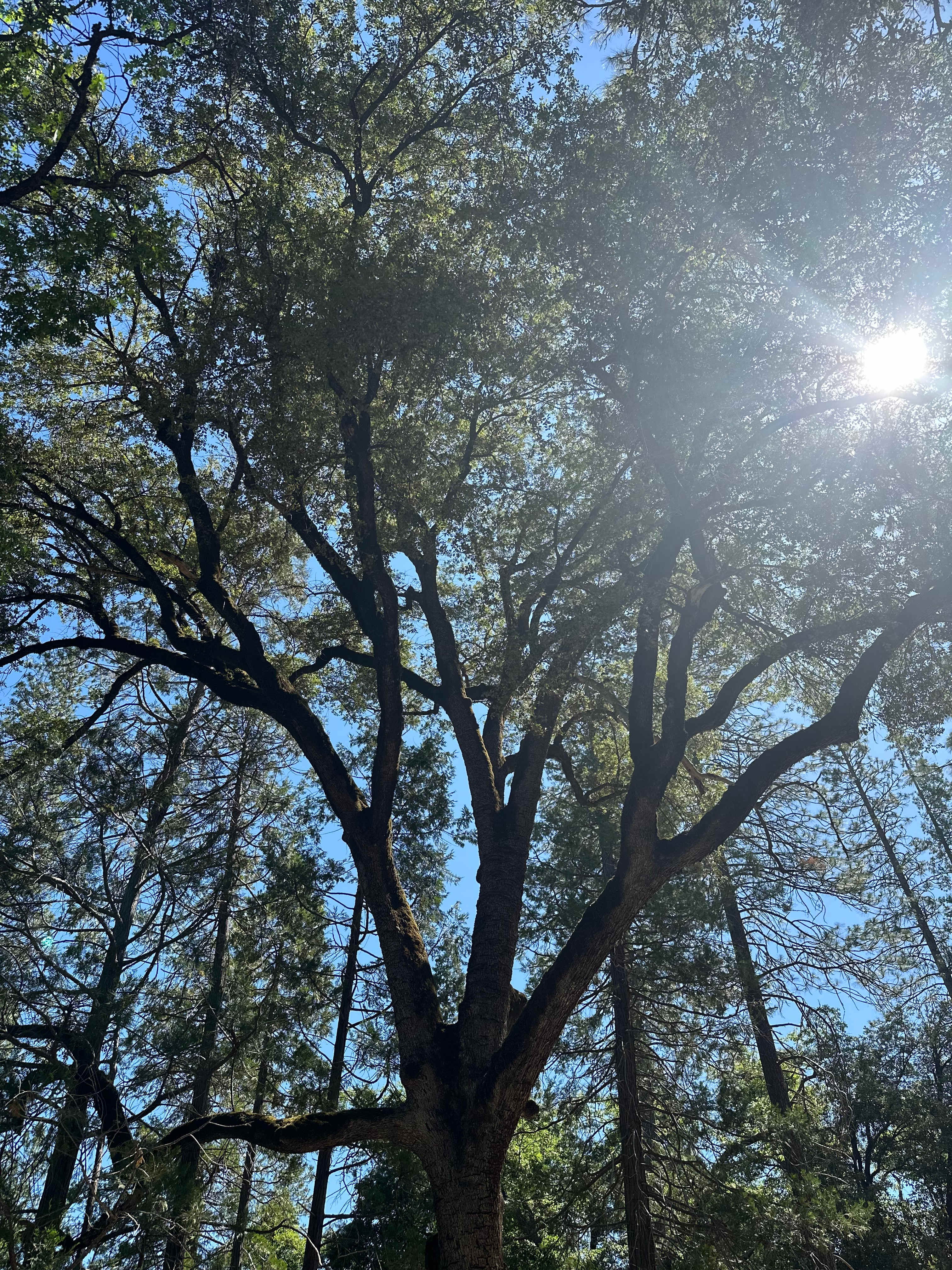 River Ranch Campgrounds