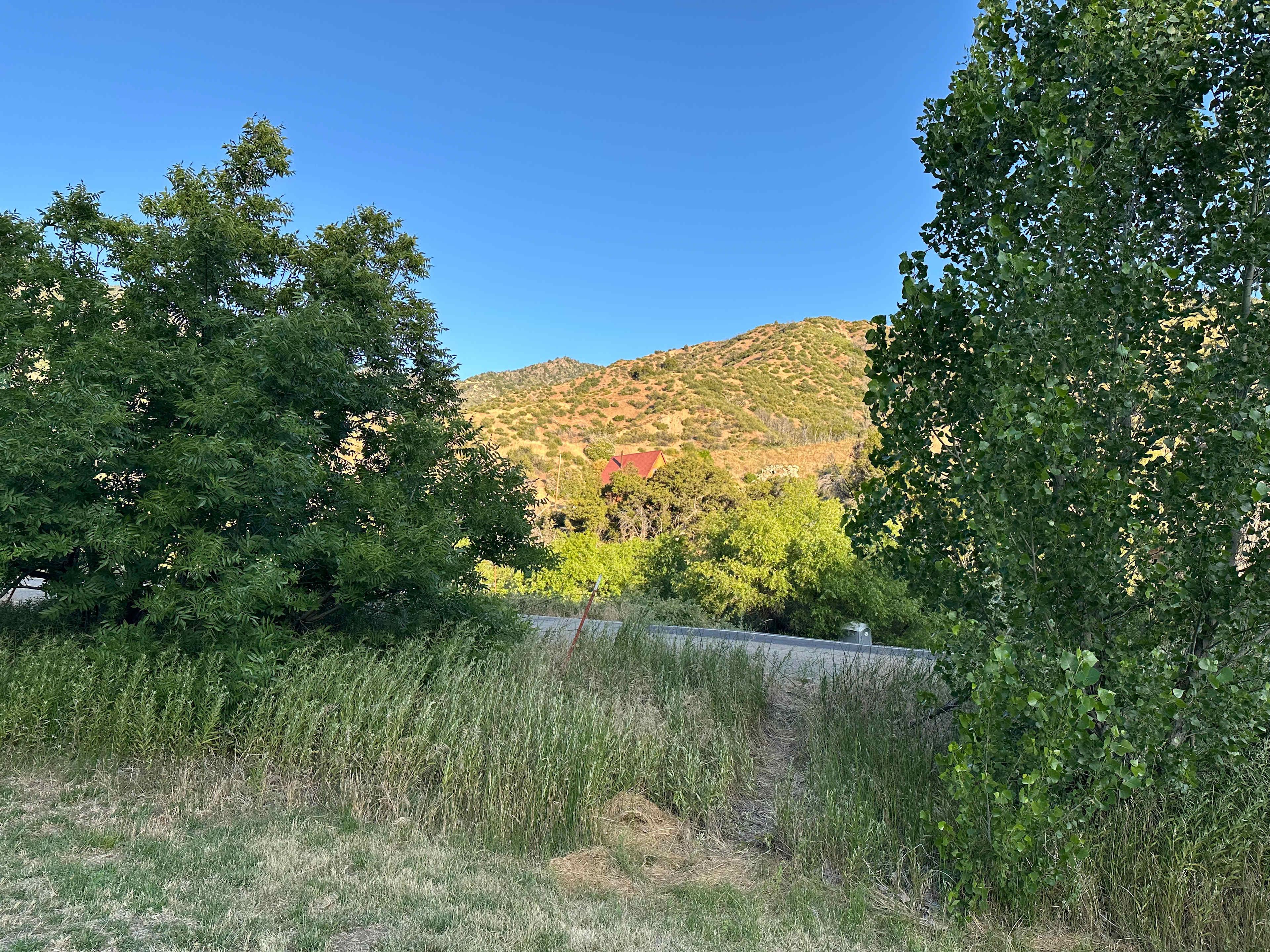 View from campsite