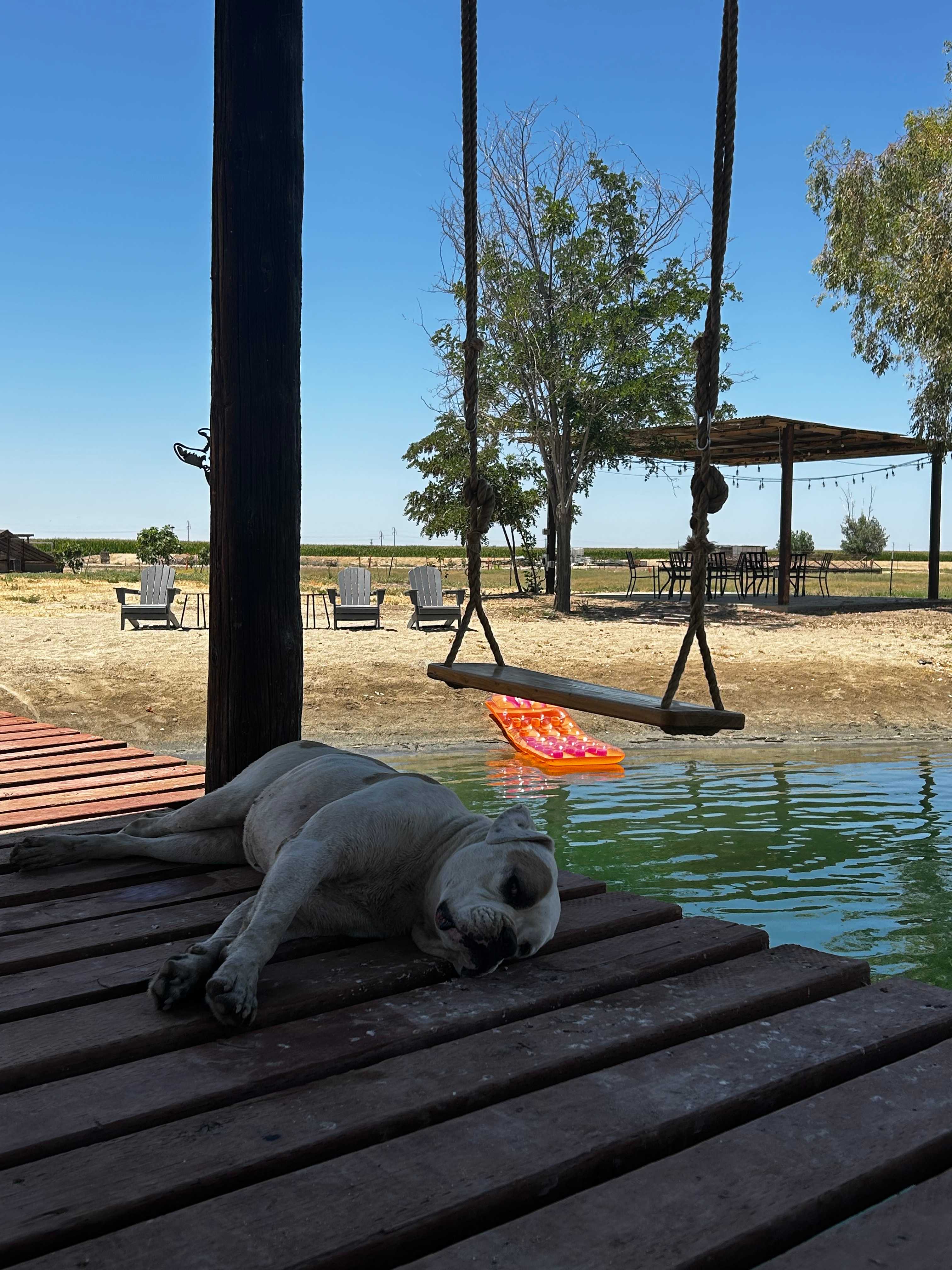 Bakersfield Farm Animals & Pond