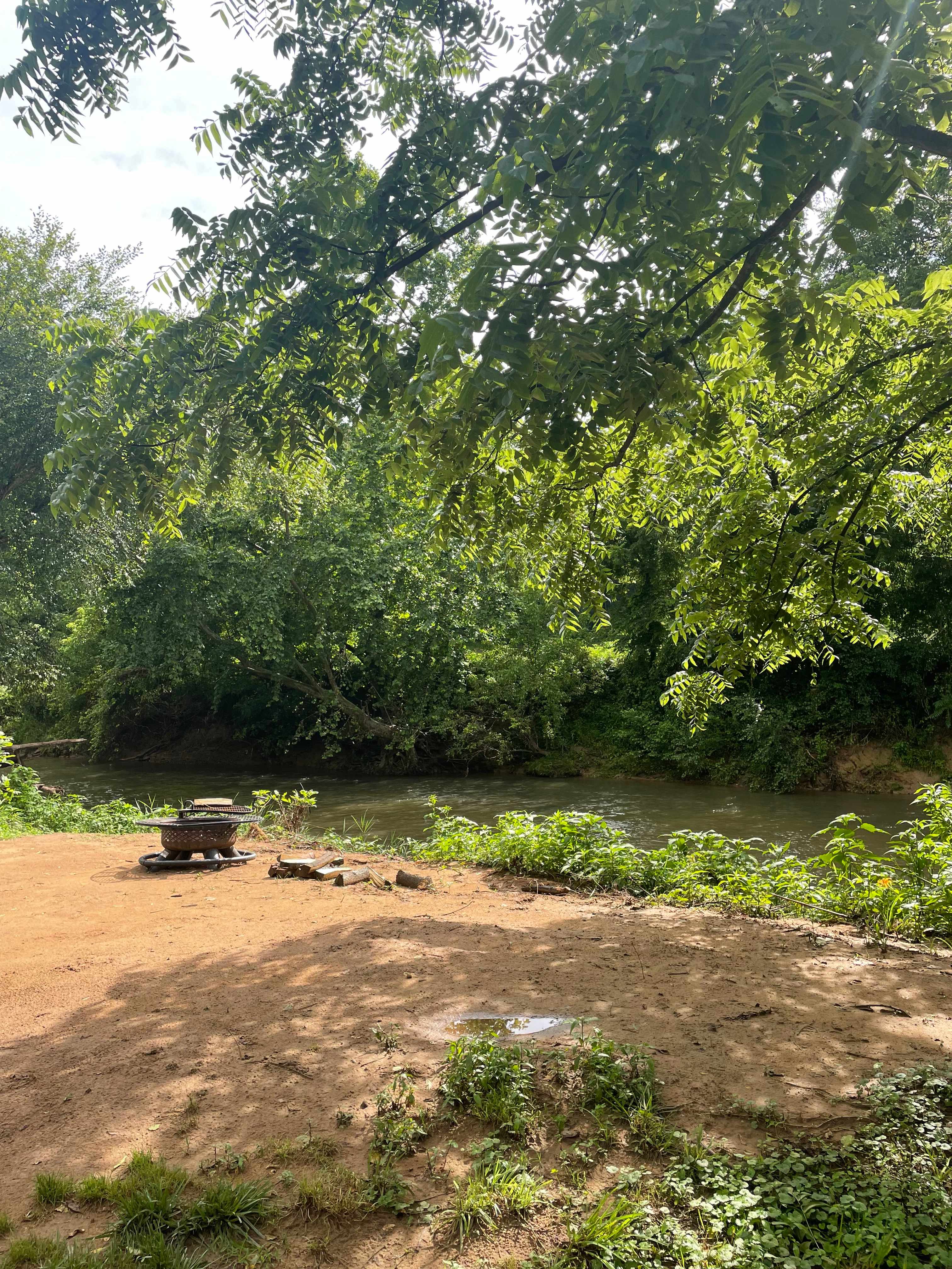 Site 4