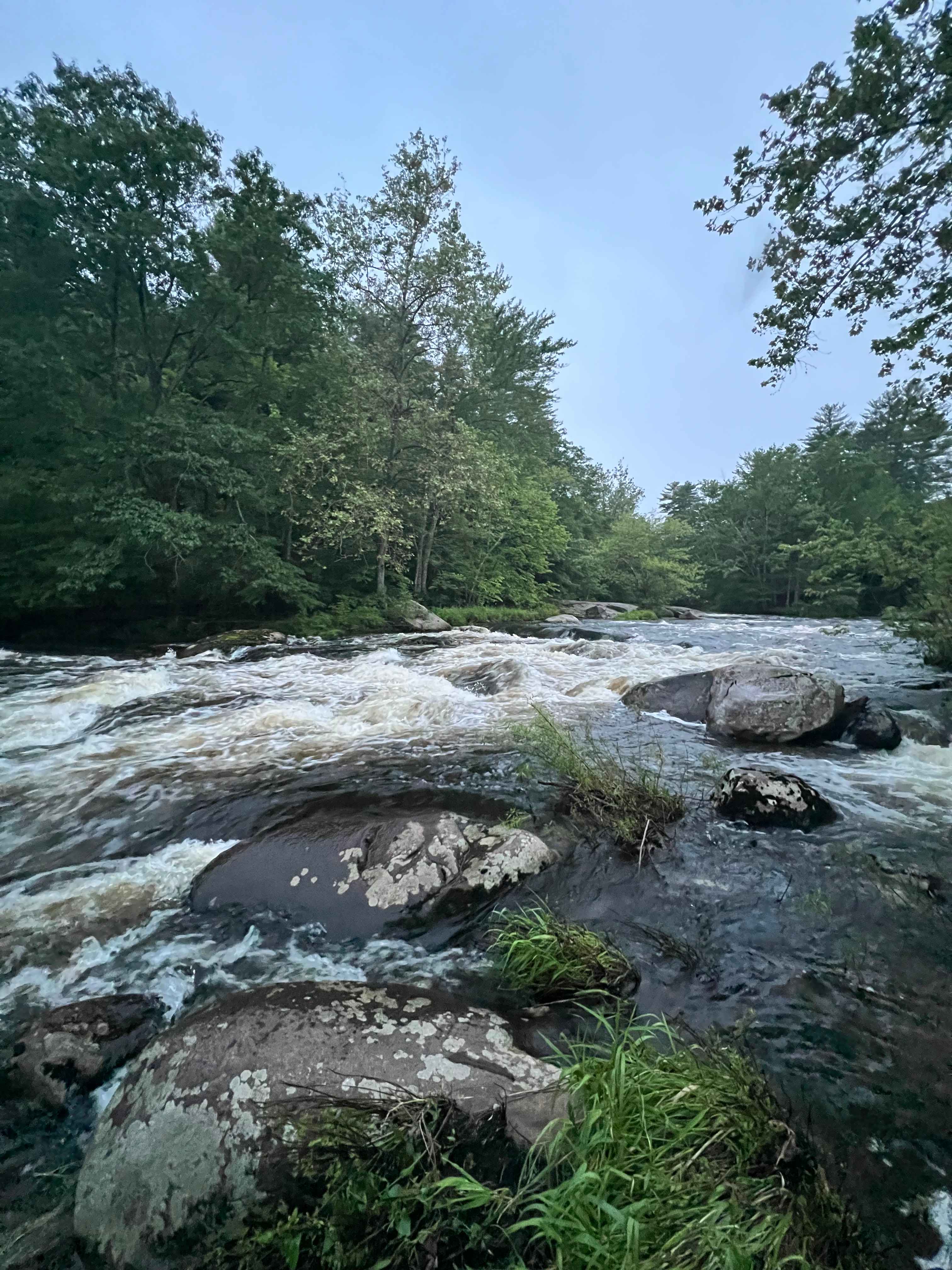 whitewater rapids