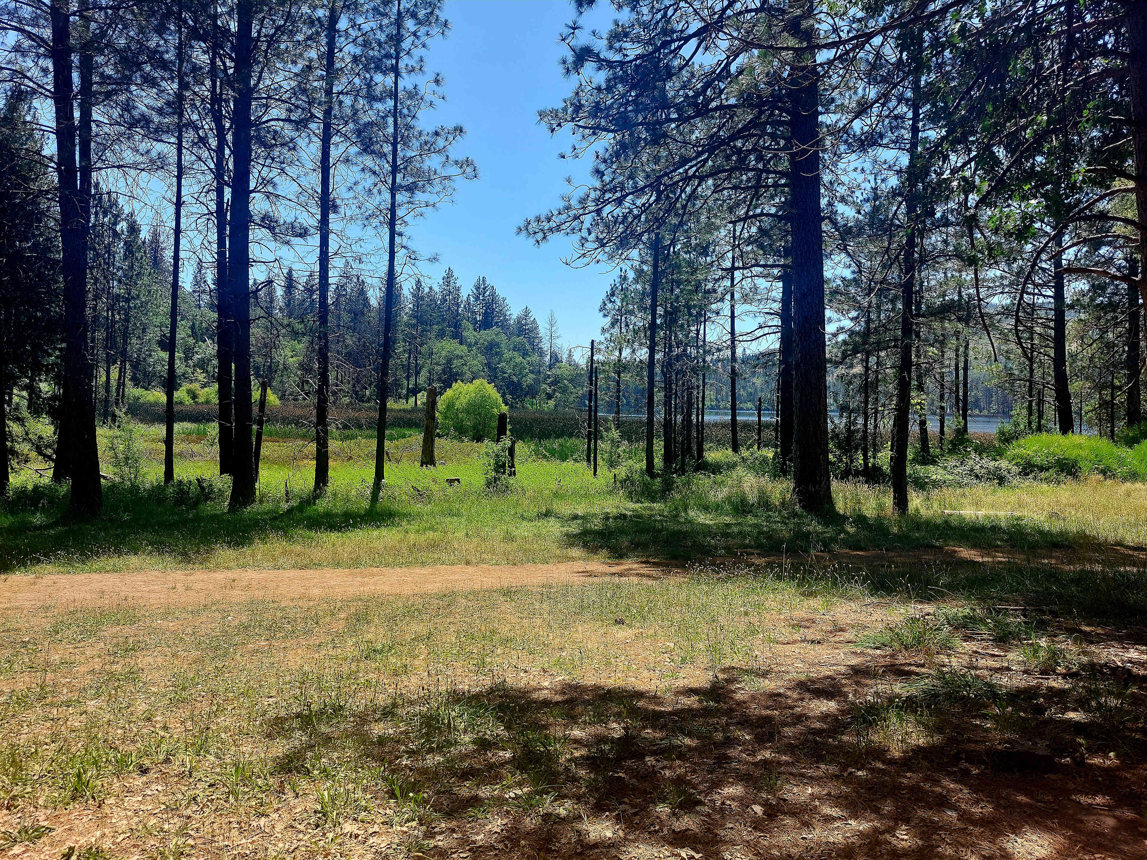 Lake Concow Campground