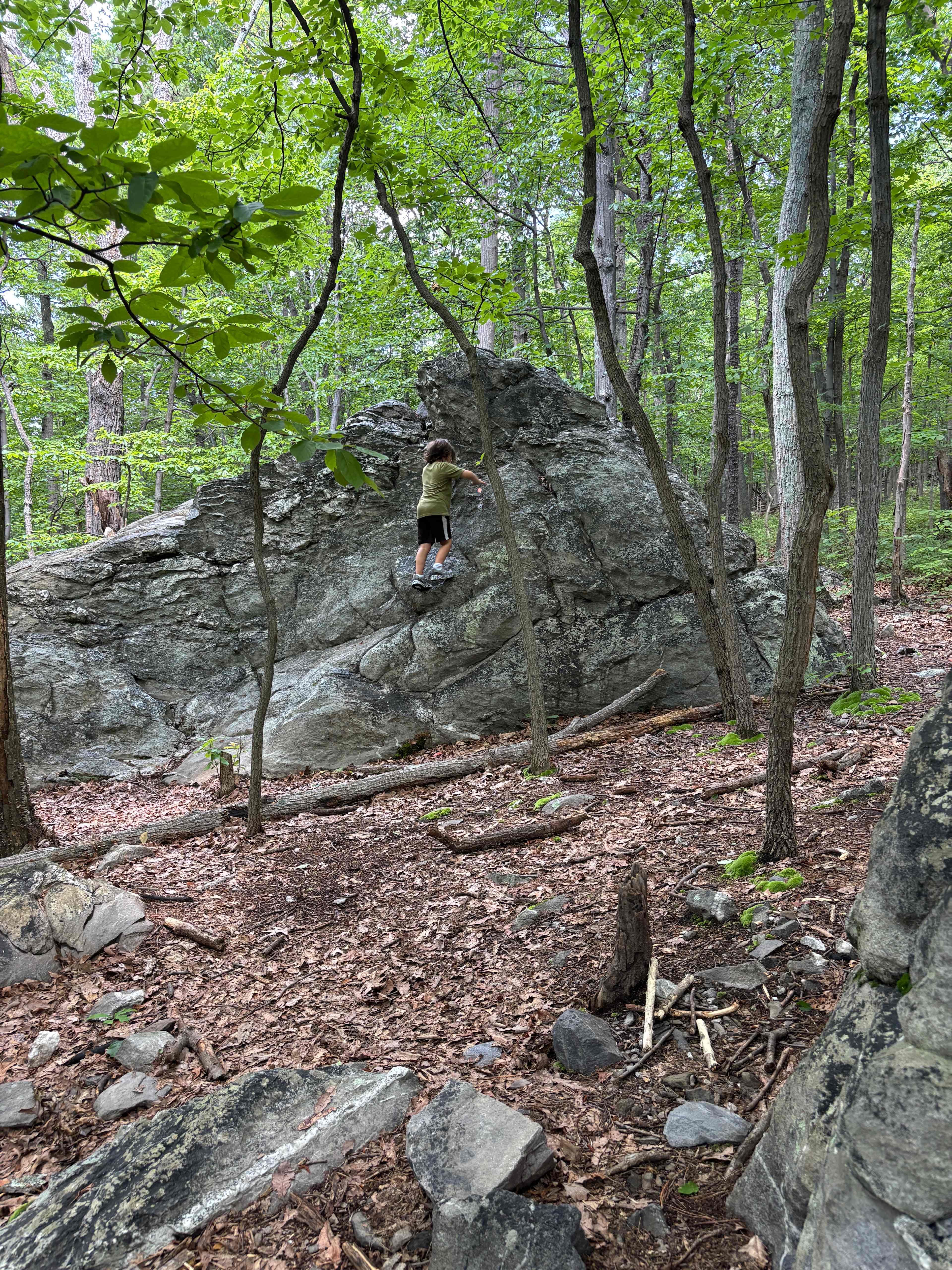 Awesome hiking with multiple access to the AT.  Don’t skip the overlook.  The view is incredible. 