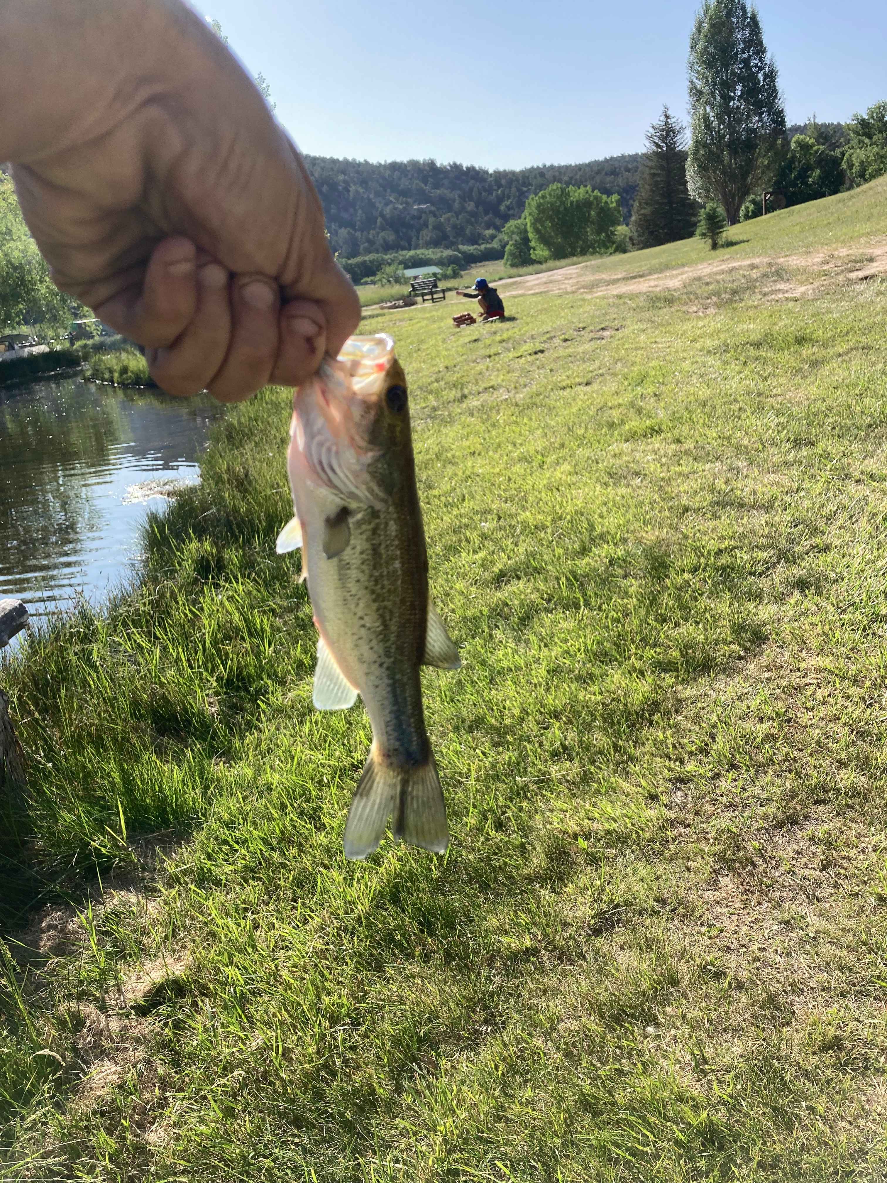 Zion Family Ranch Campground and RV