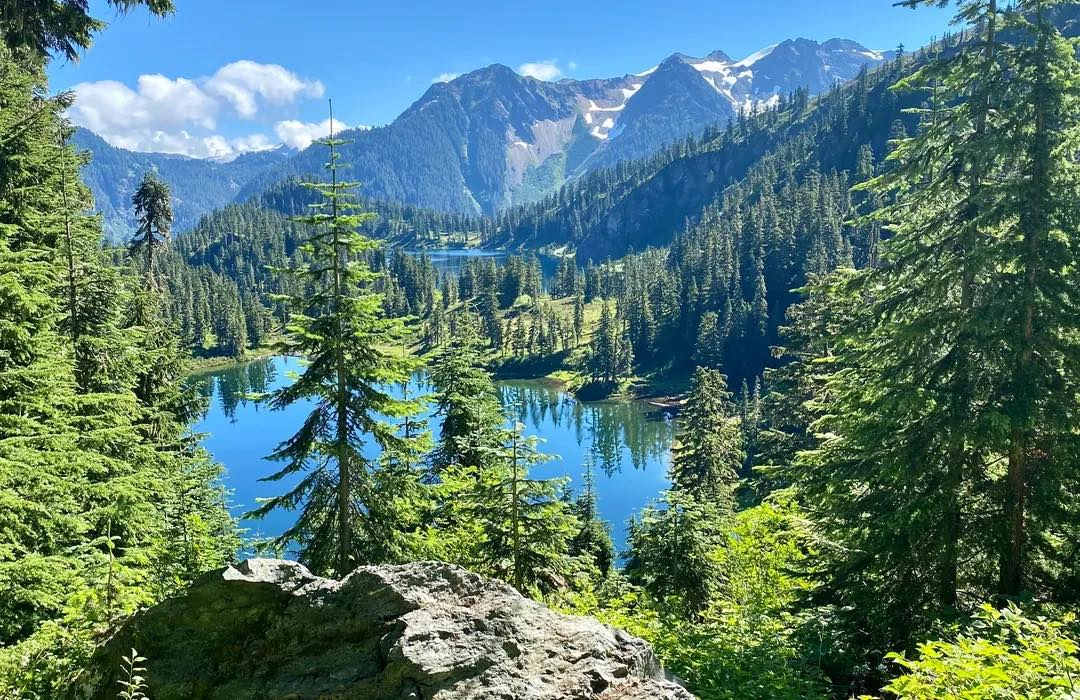 Timberline Park