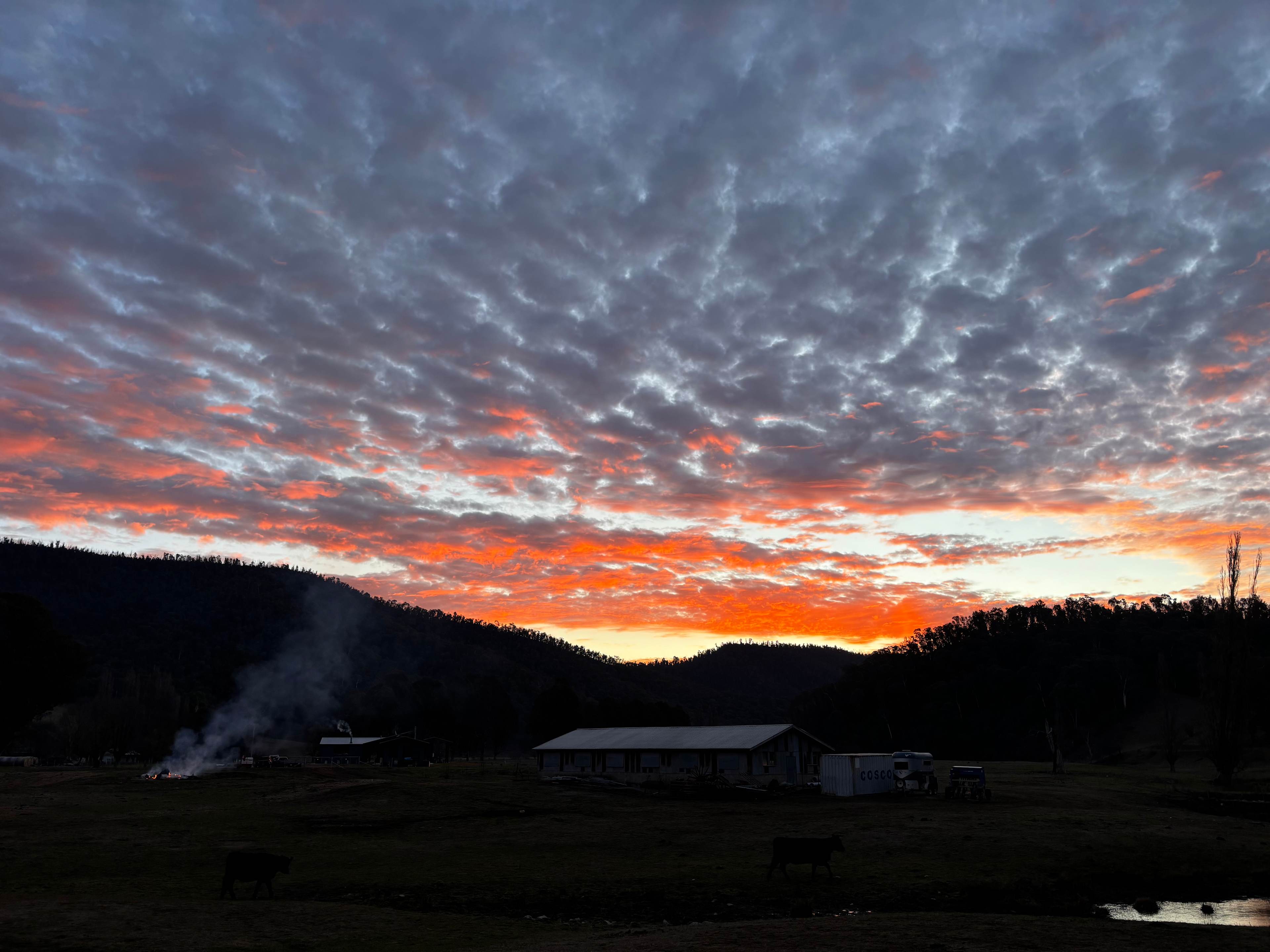 Nariel Creek Farm Stay