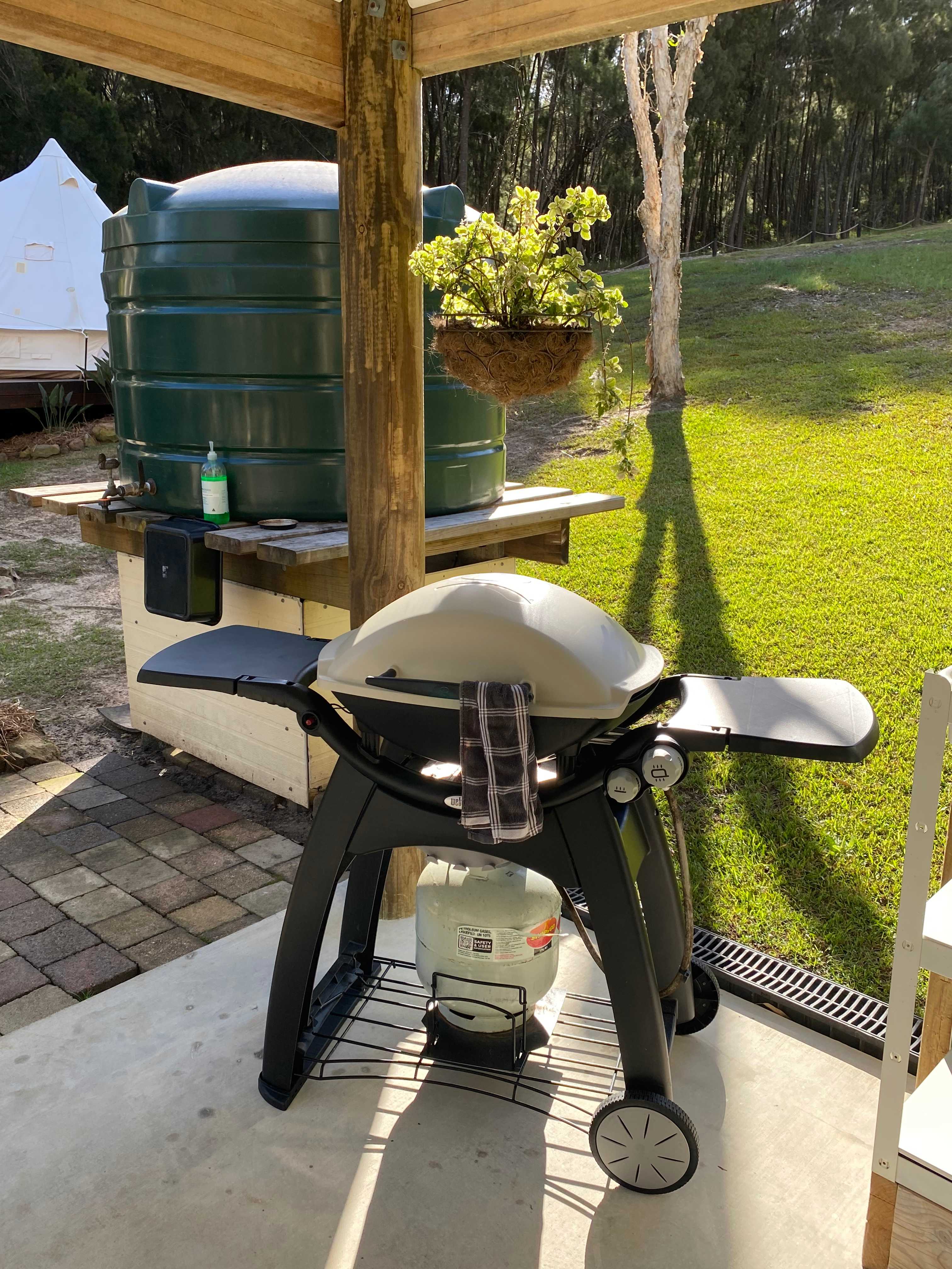 BBQ, but don’t know how to use