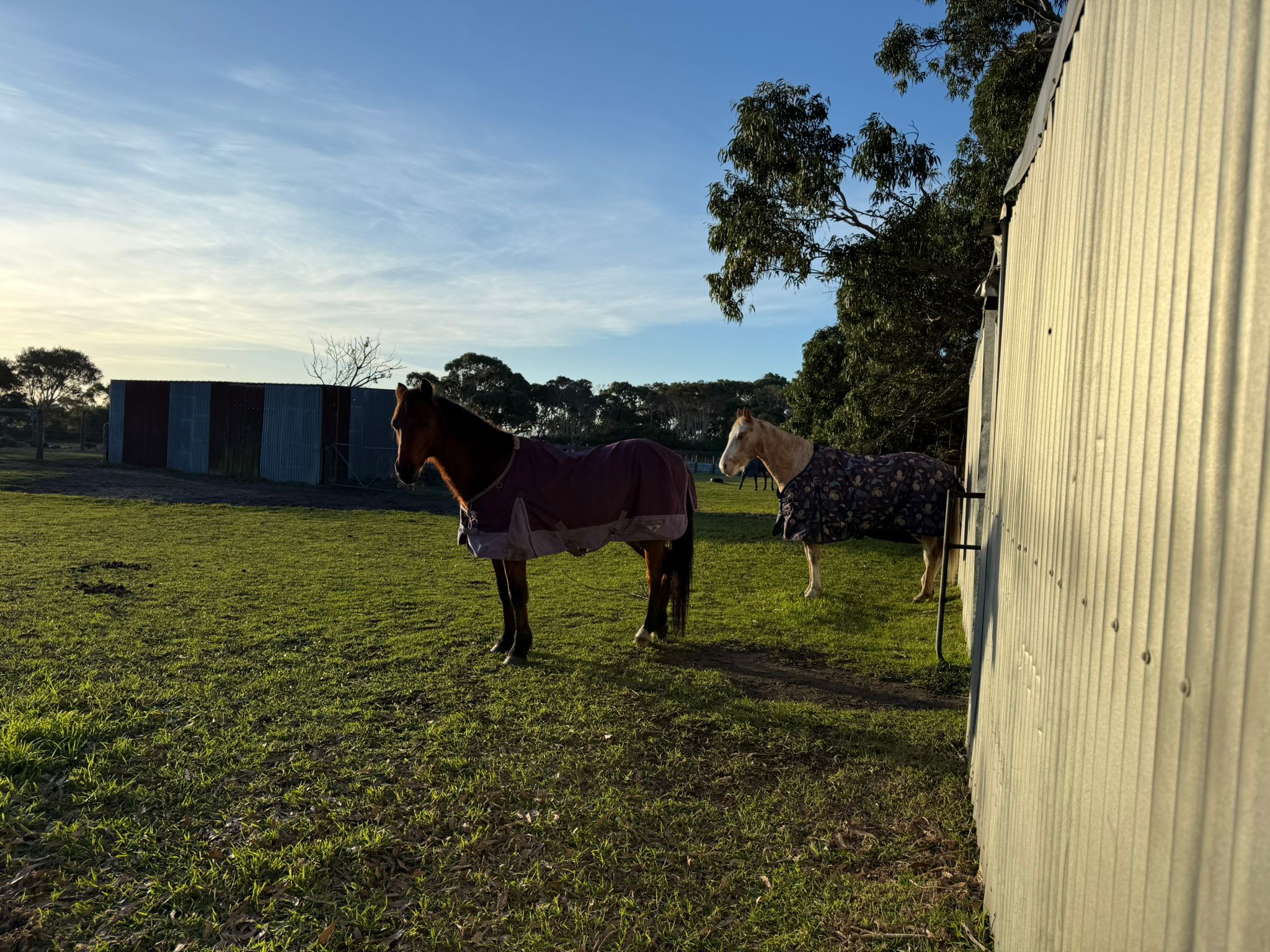 Sandy Point Farm Camp