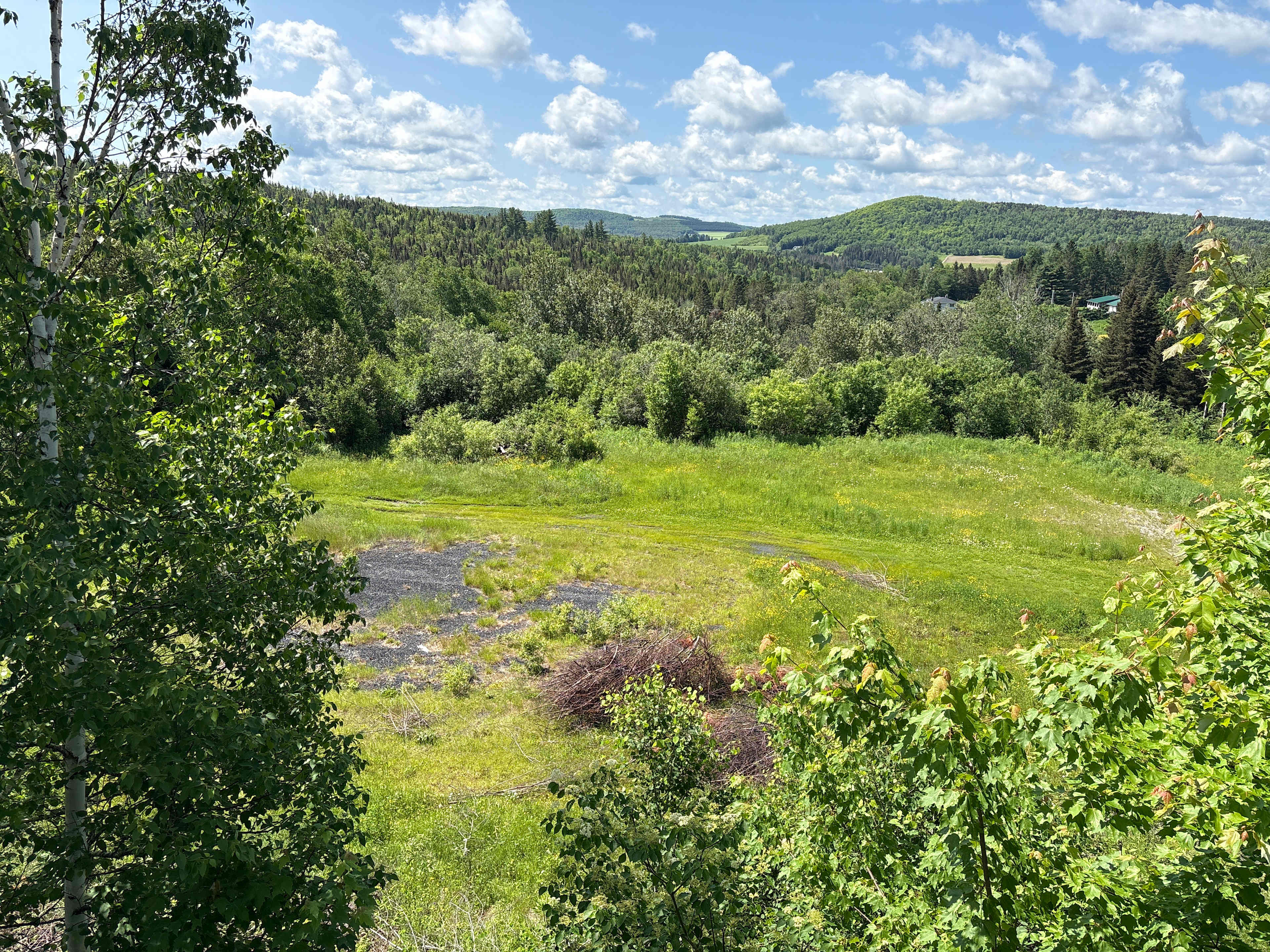 Refuge Ranch