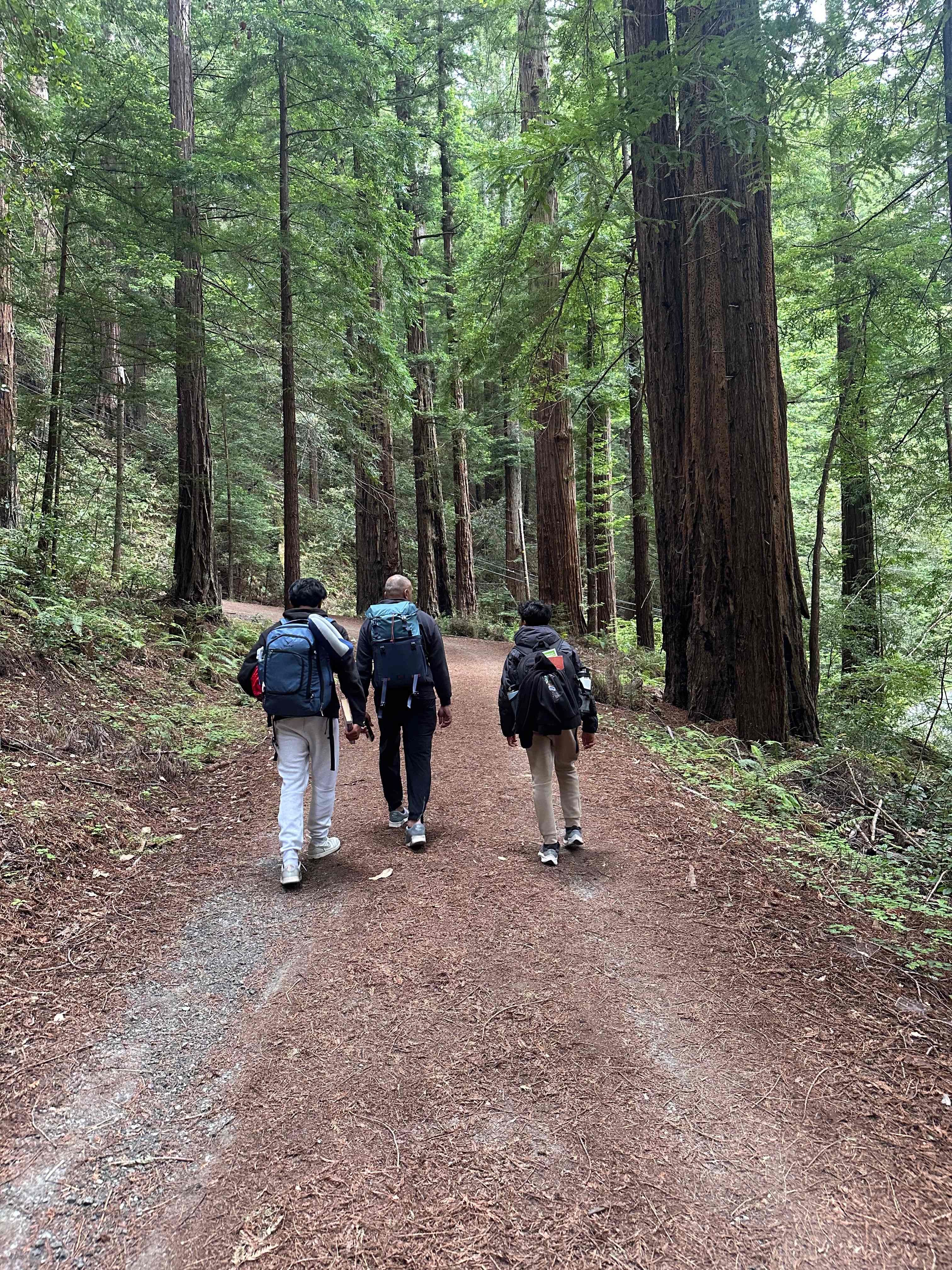The hike starts through redwoods before it opens up. It is about a 2 mile steady uphill. 