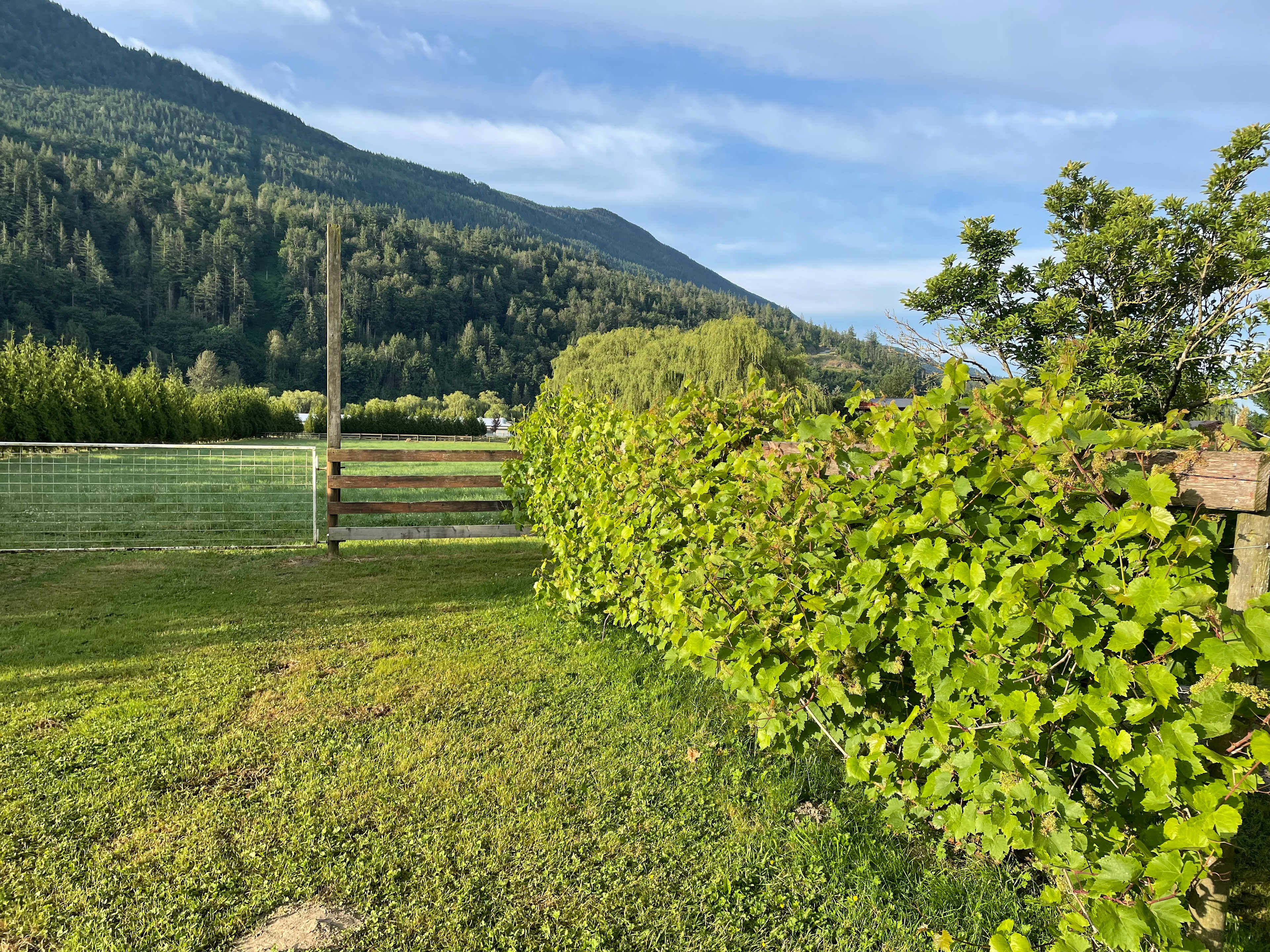 Mixed Barrel Farm