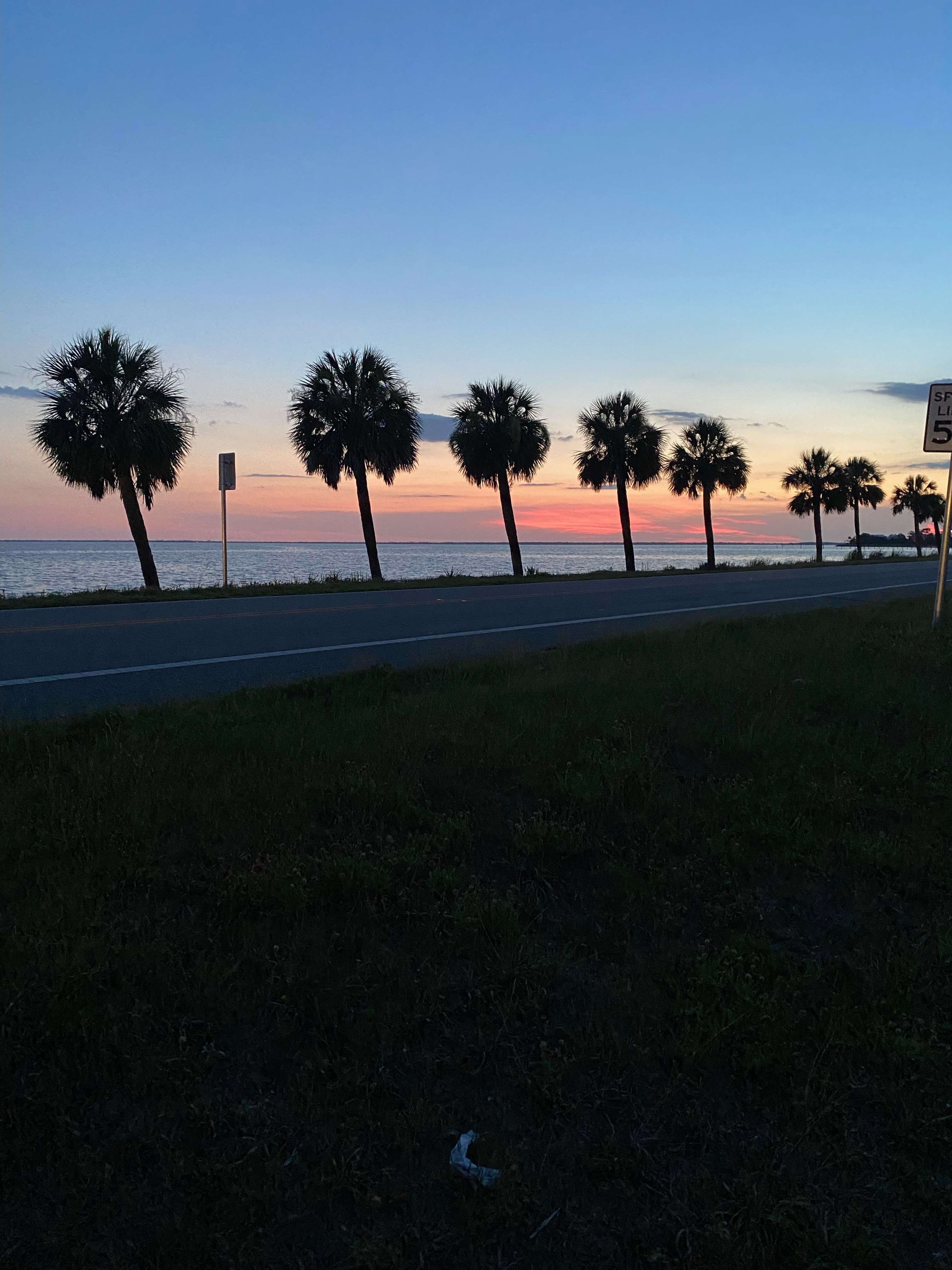 BayDreaming