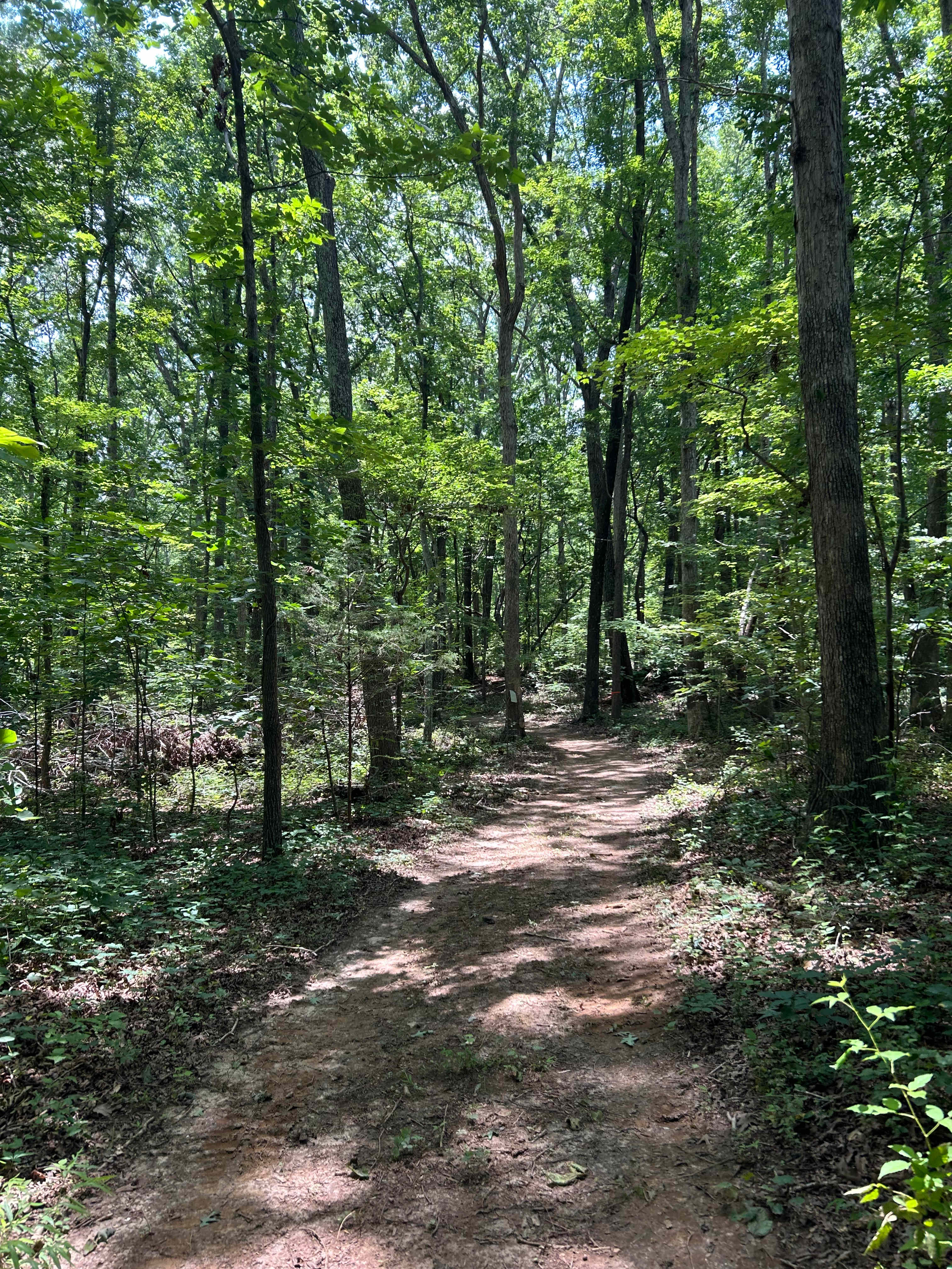 Camp Winnie