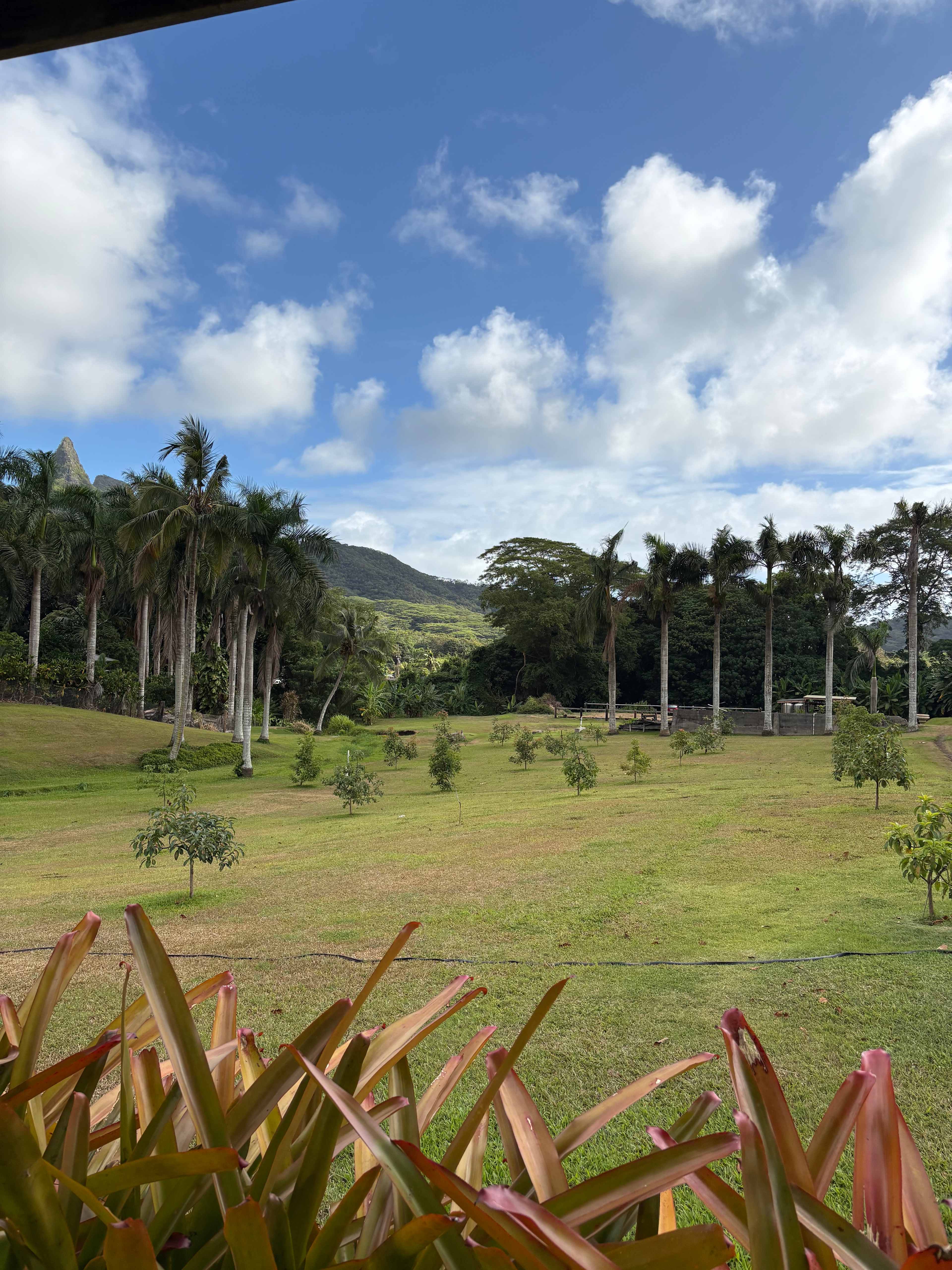 Waimanalo Farmstay