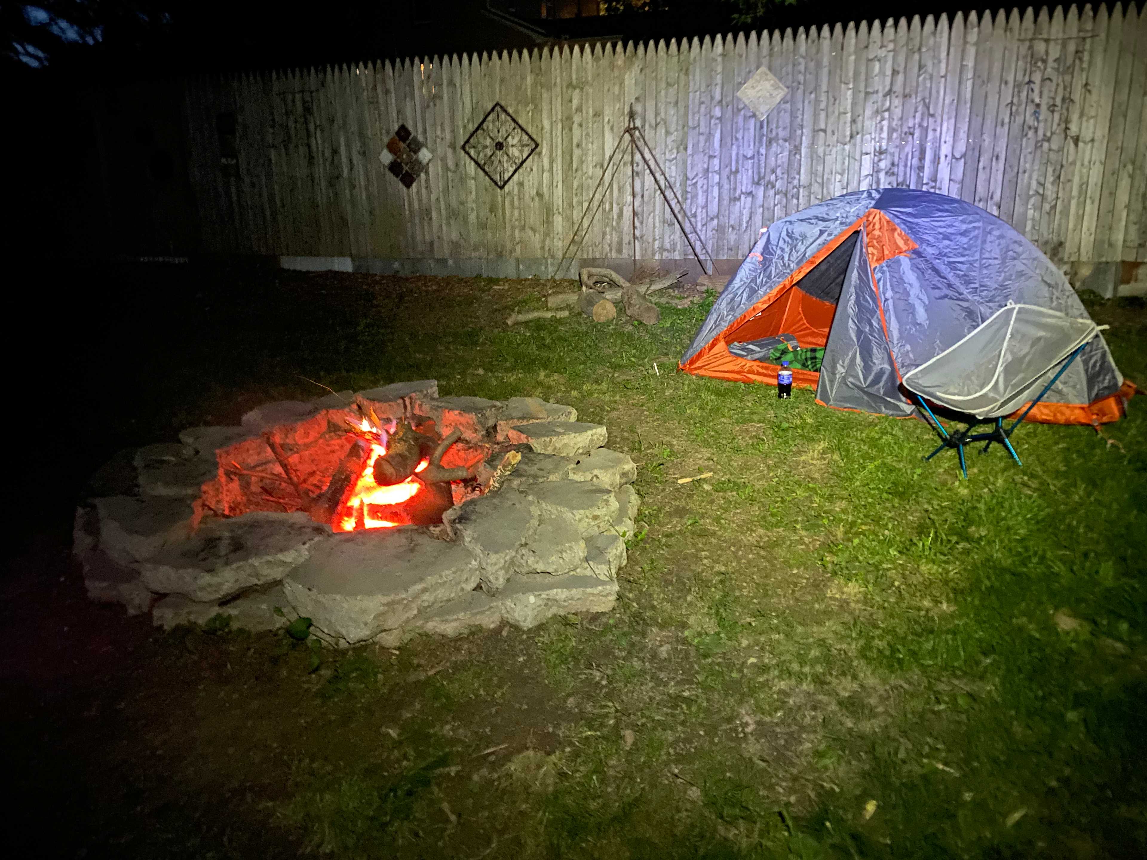 Camp with Alpacas at Aris Farm