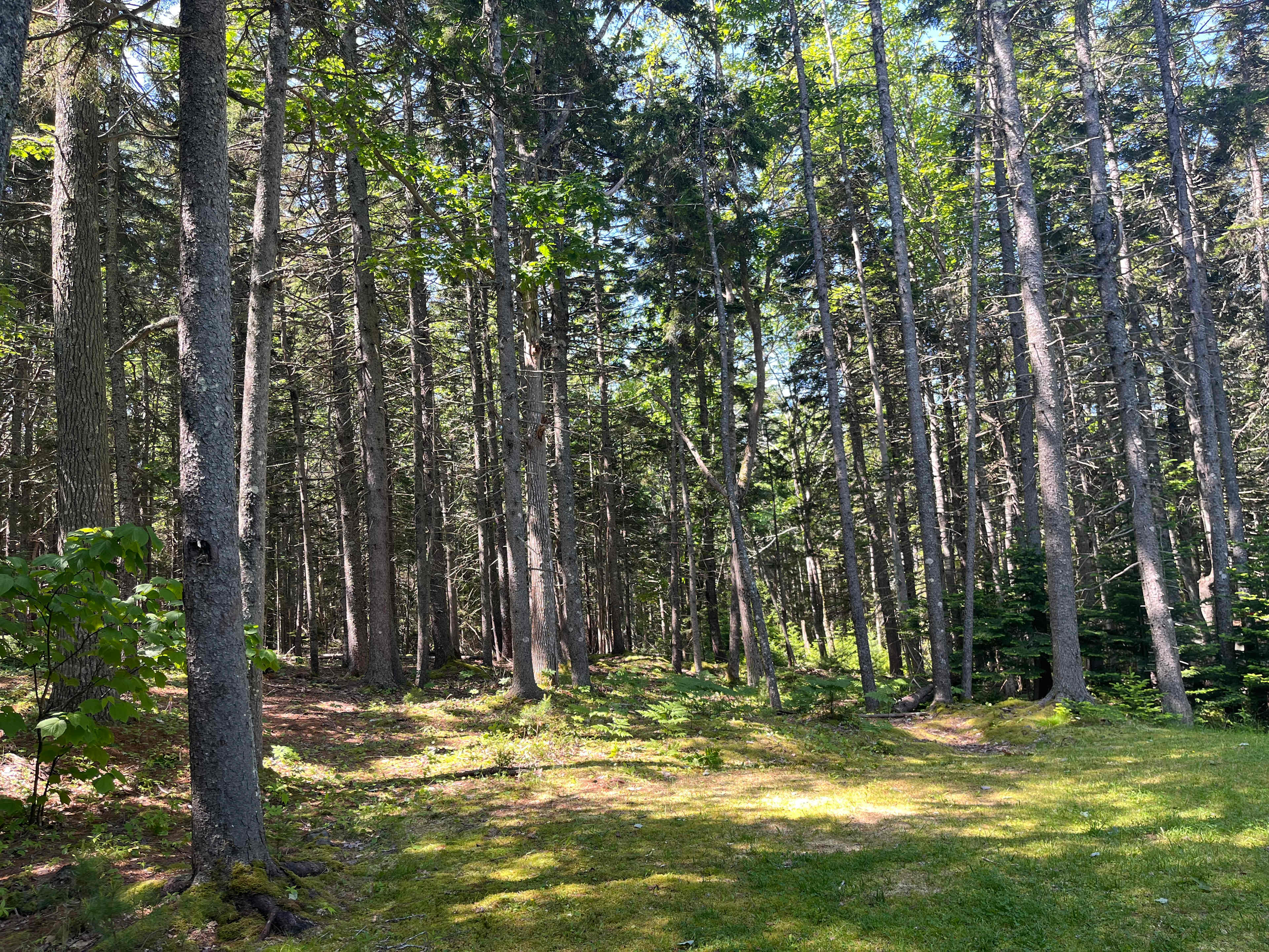 Private Lot for RV Near The Ocean