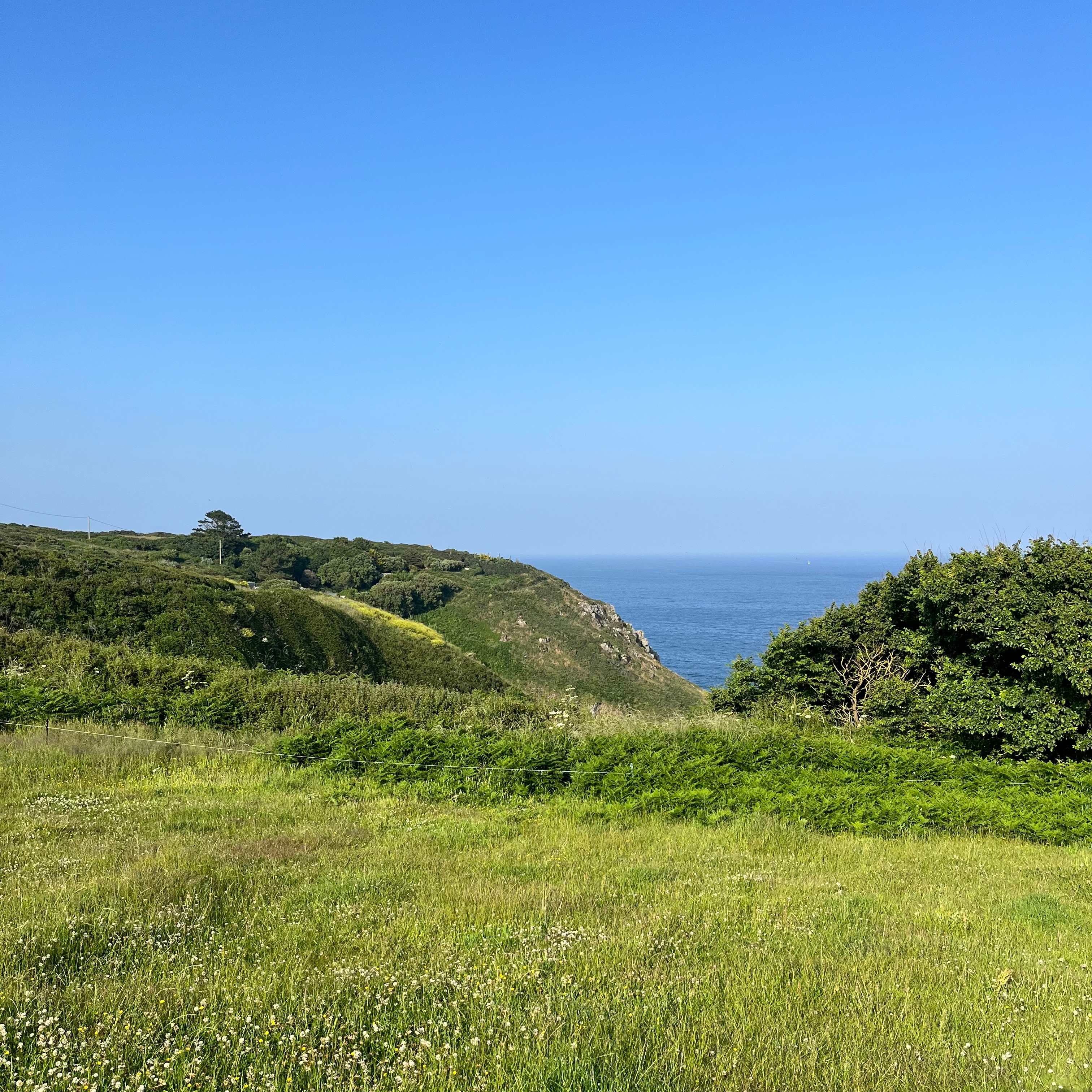 Cadgwith Wild Camping