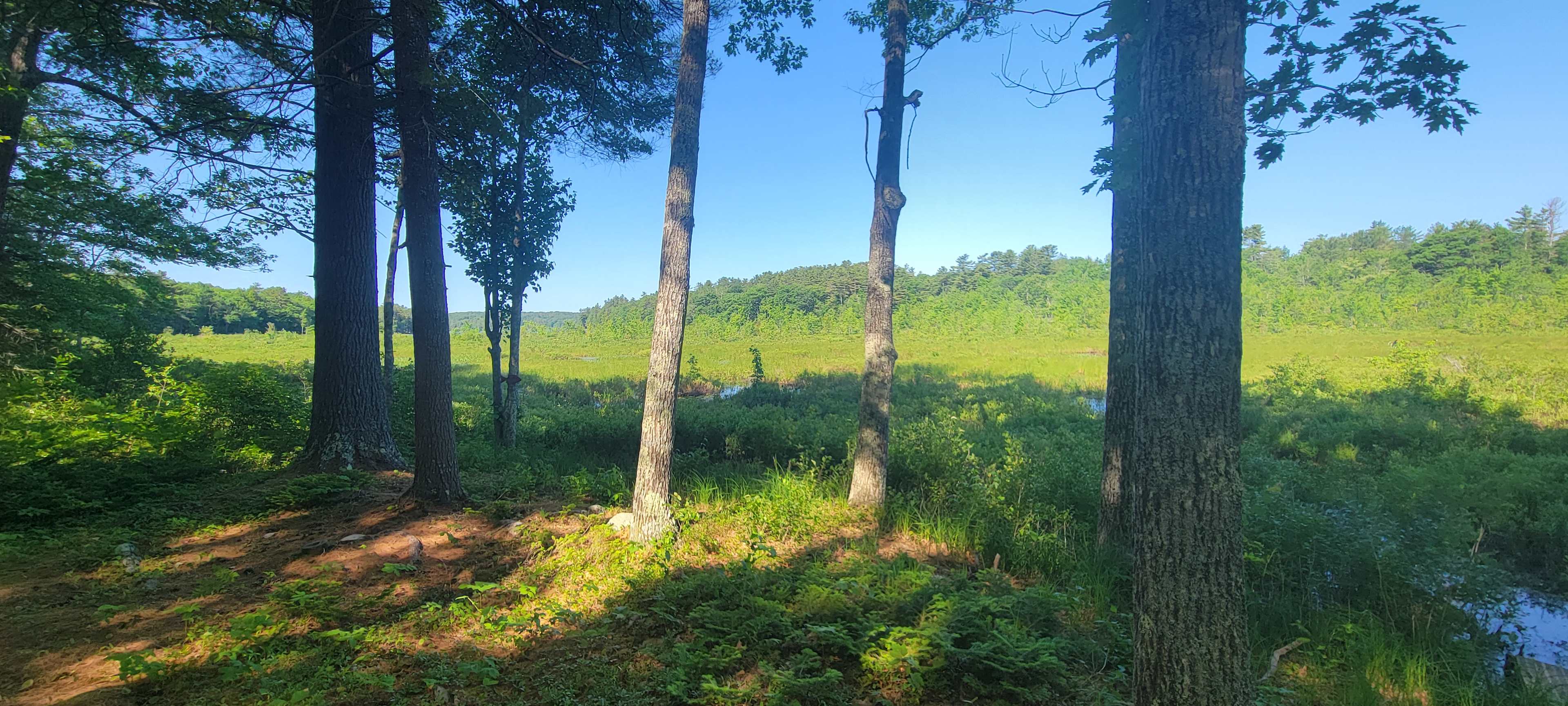 County Living