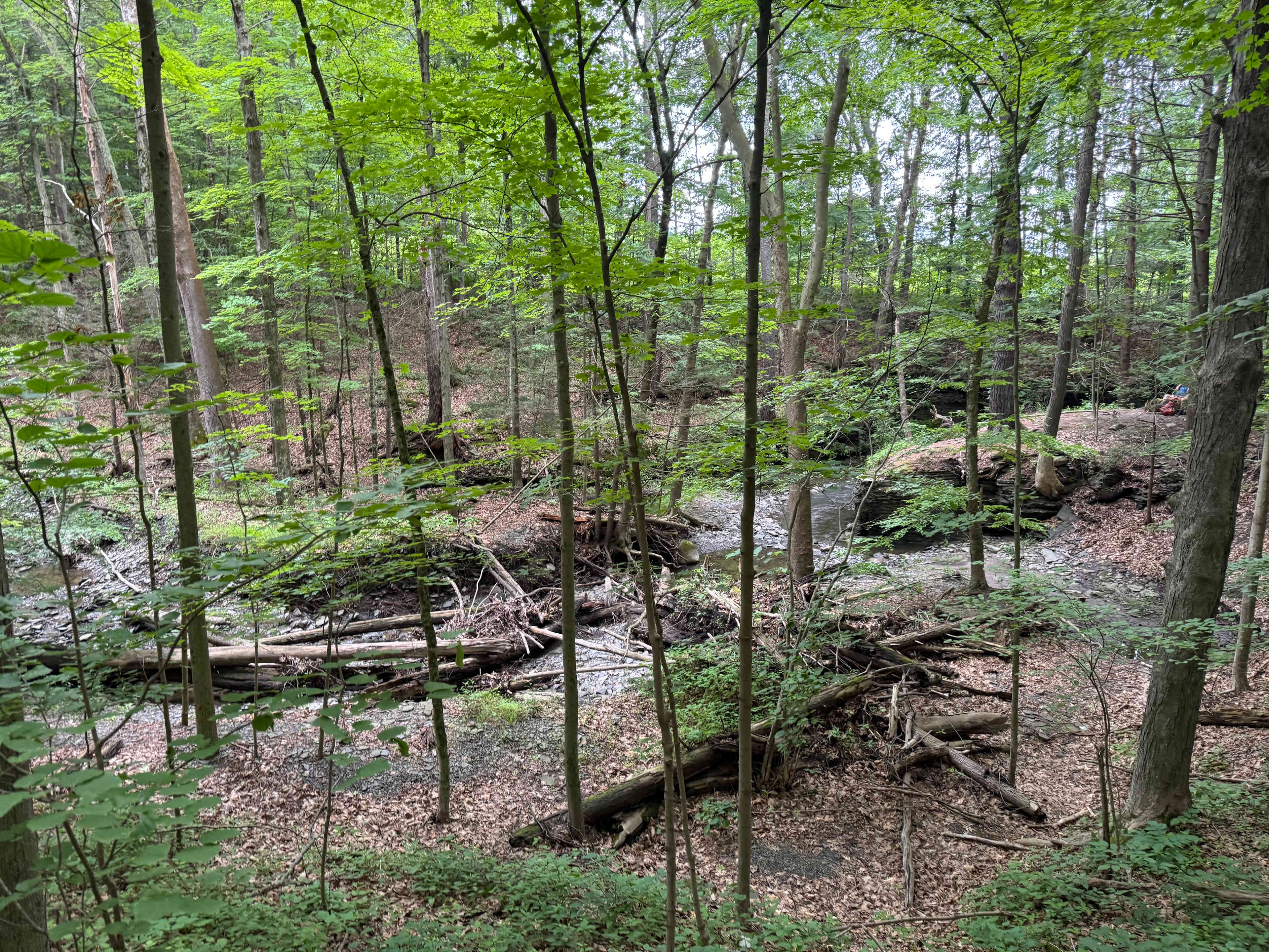 Finger Lakes trail