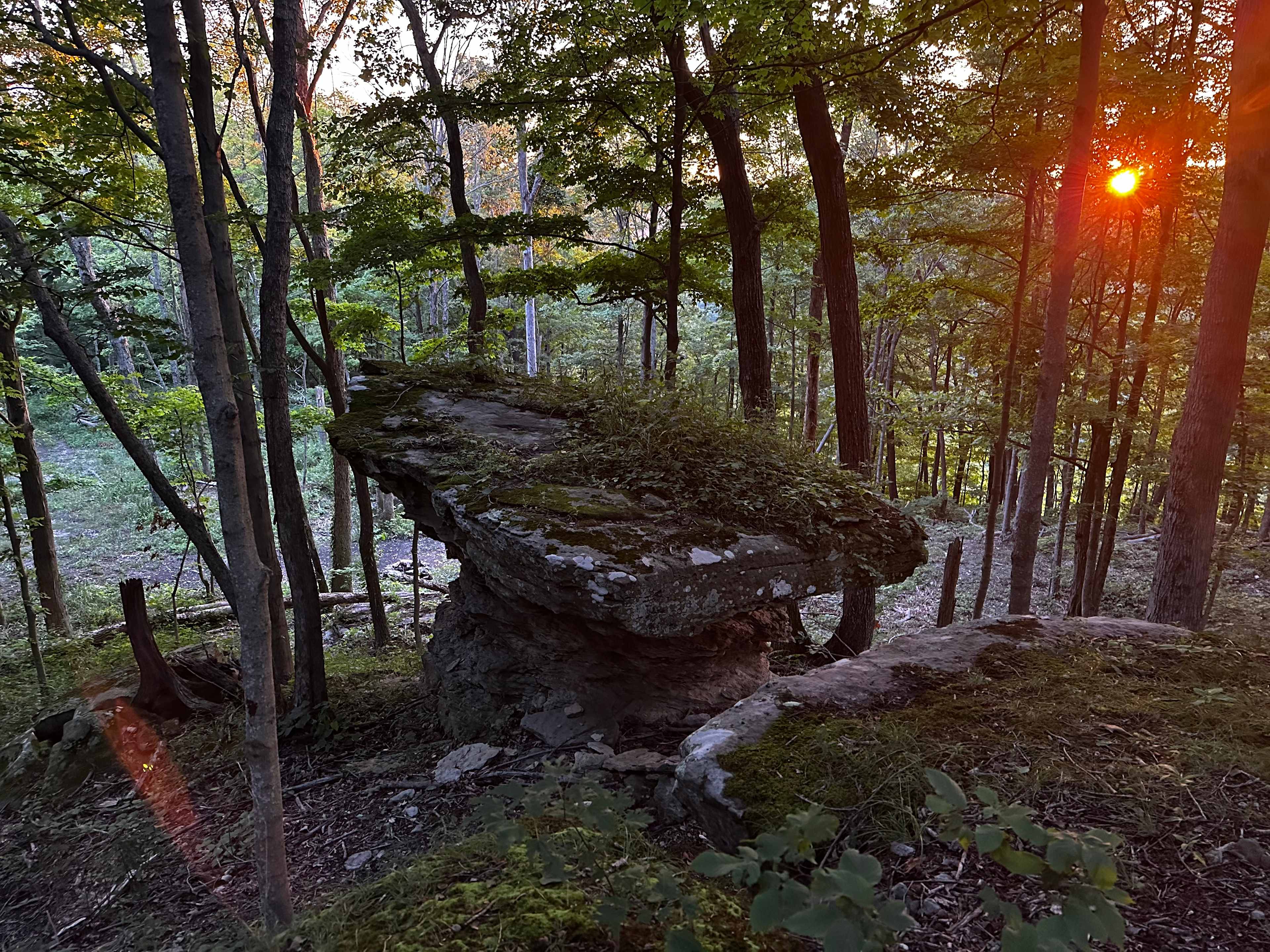 Furnace mountain primitive camping