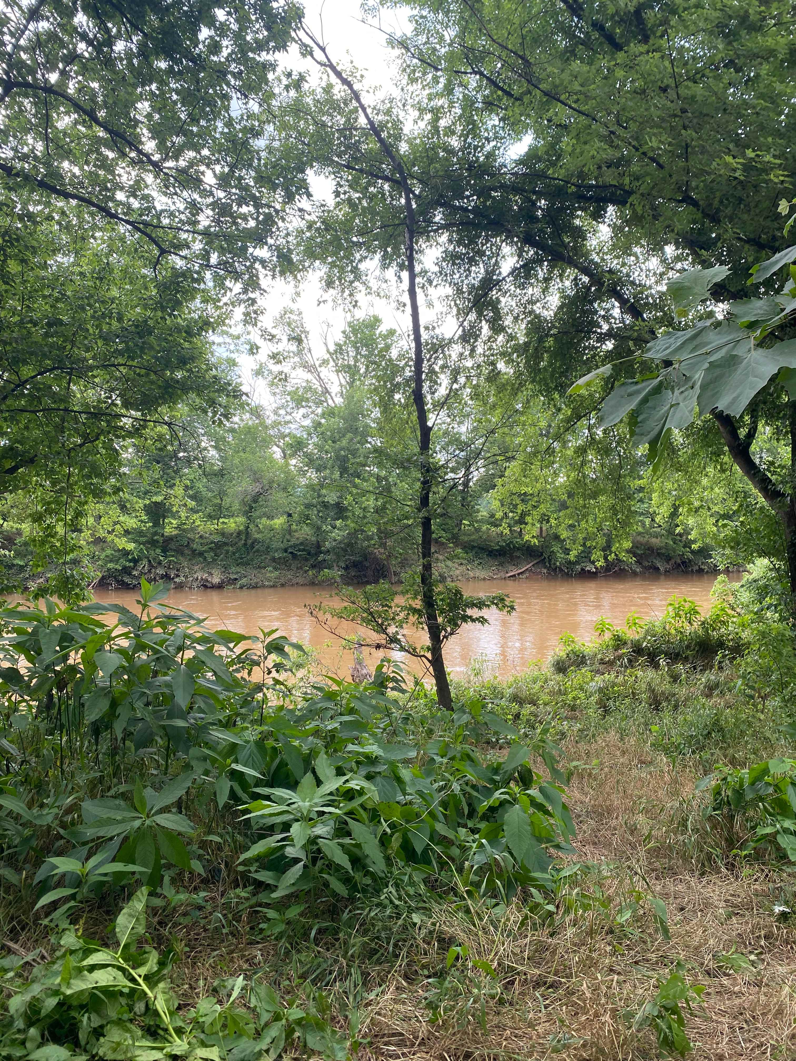 Site 3 right on the River 