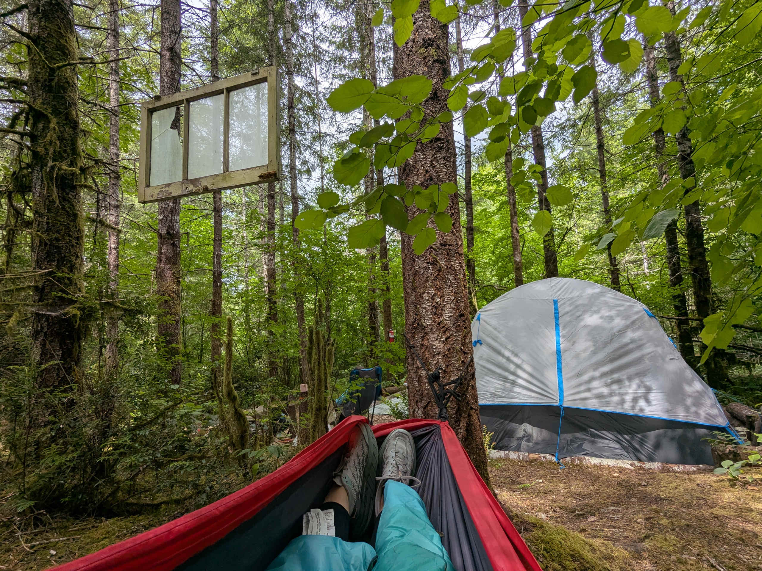 A hammock provided for an amazing 2 hour afternoon nap
