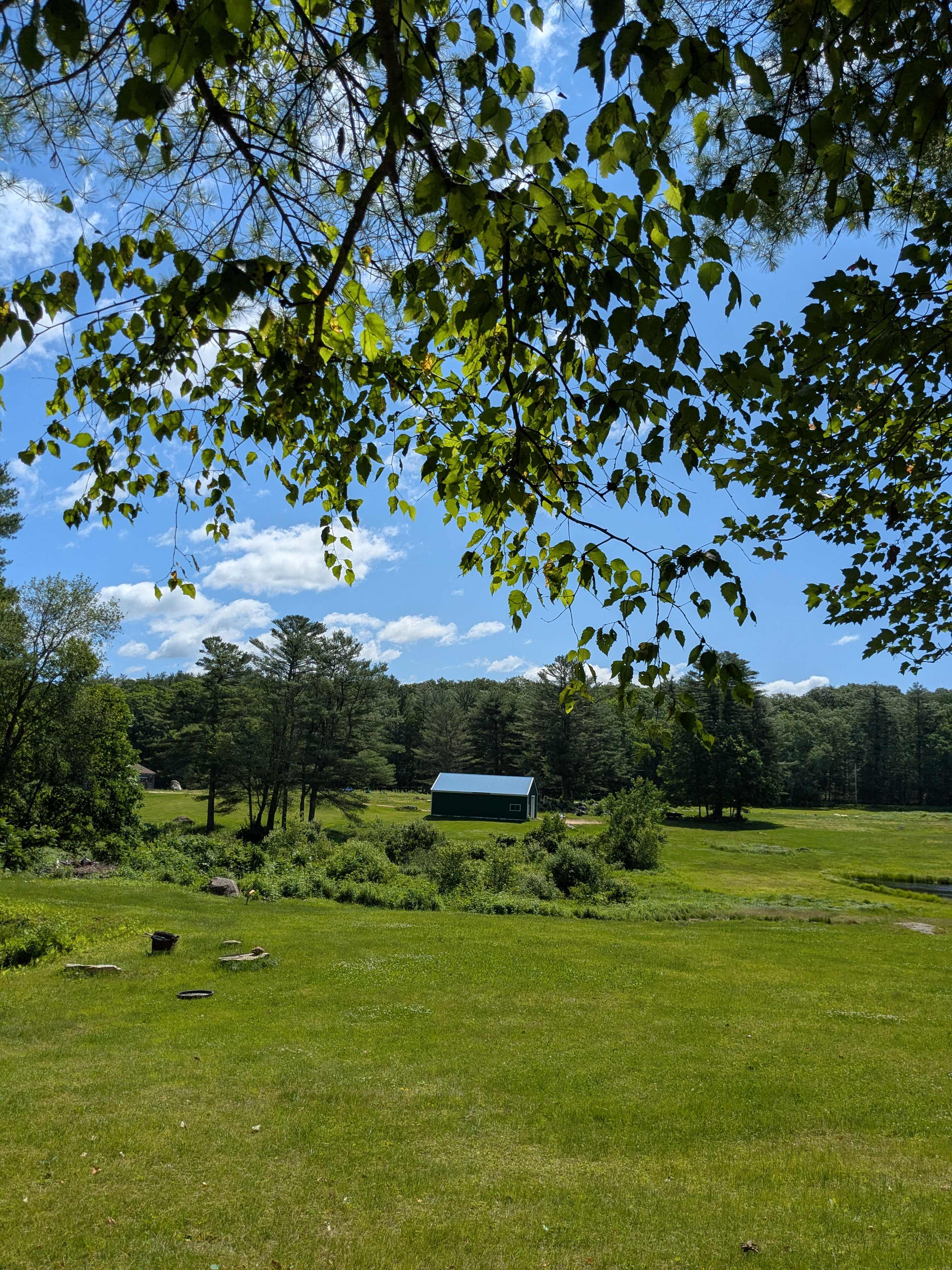 A view of the field 