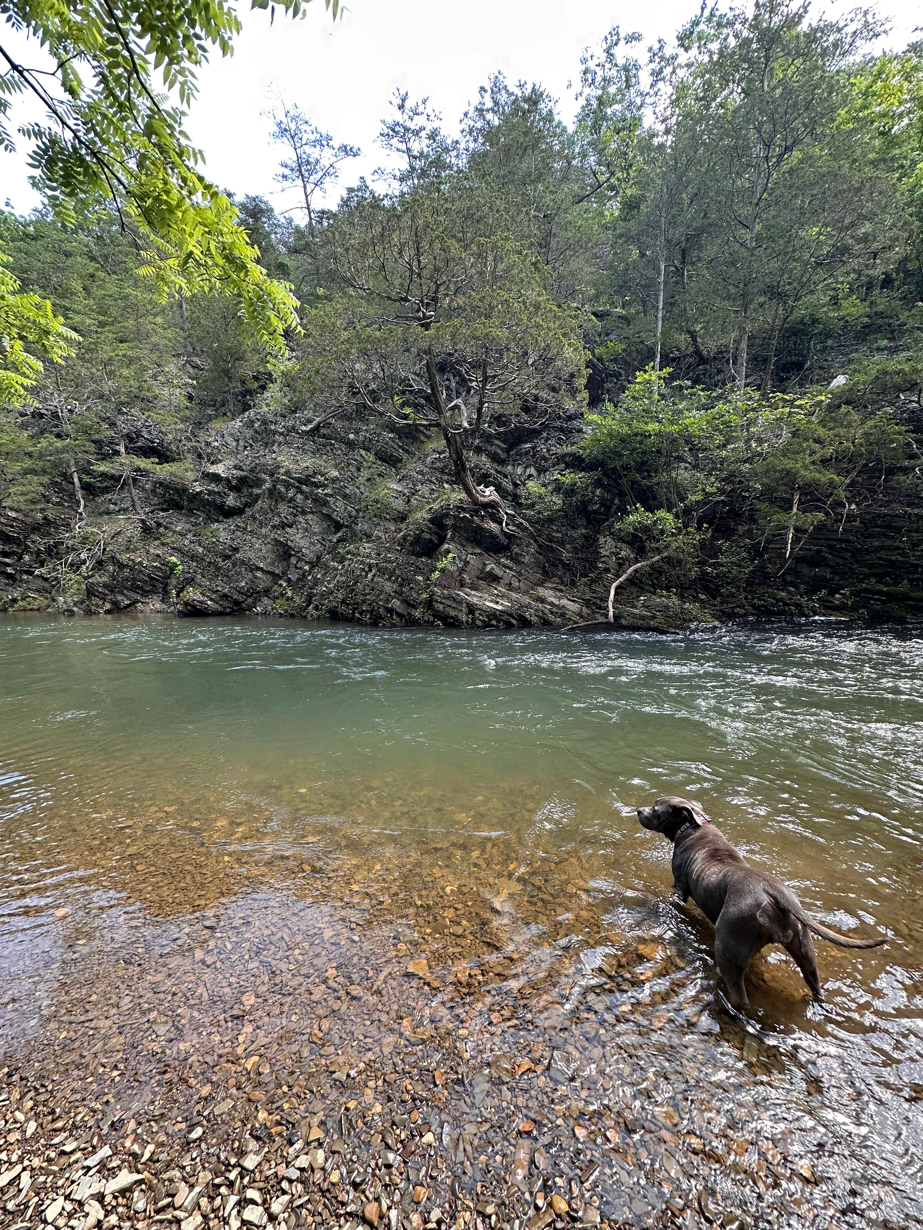 The Bluffs at Cedar Creek