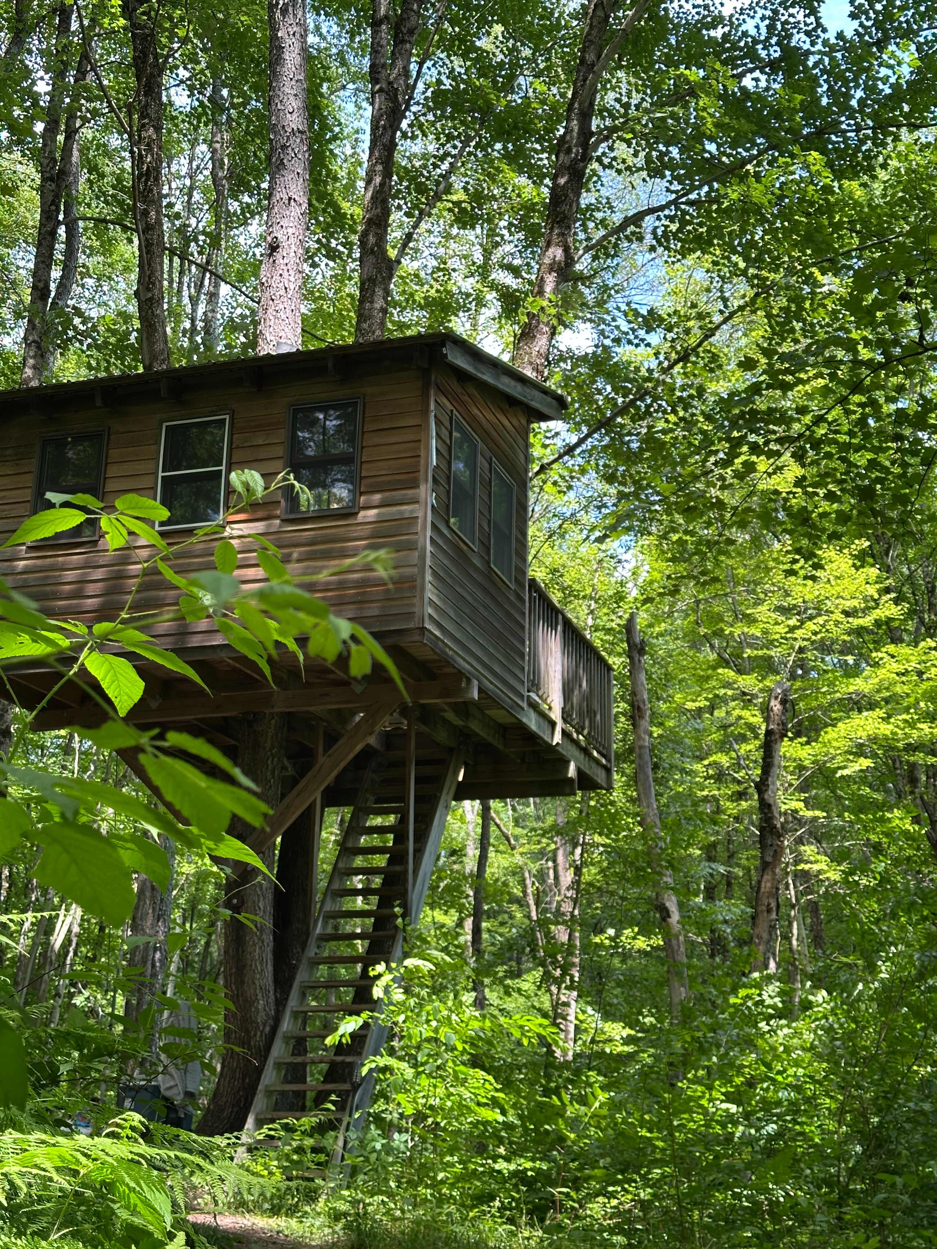 Treehouse Farm Adventure