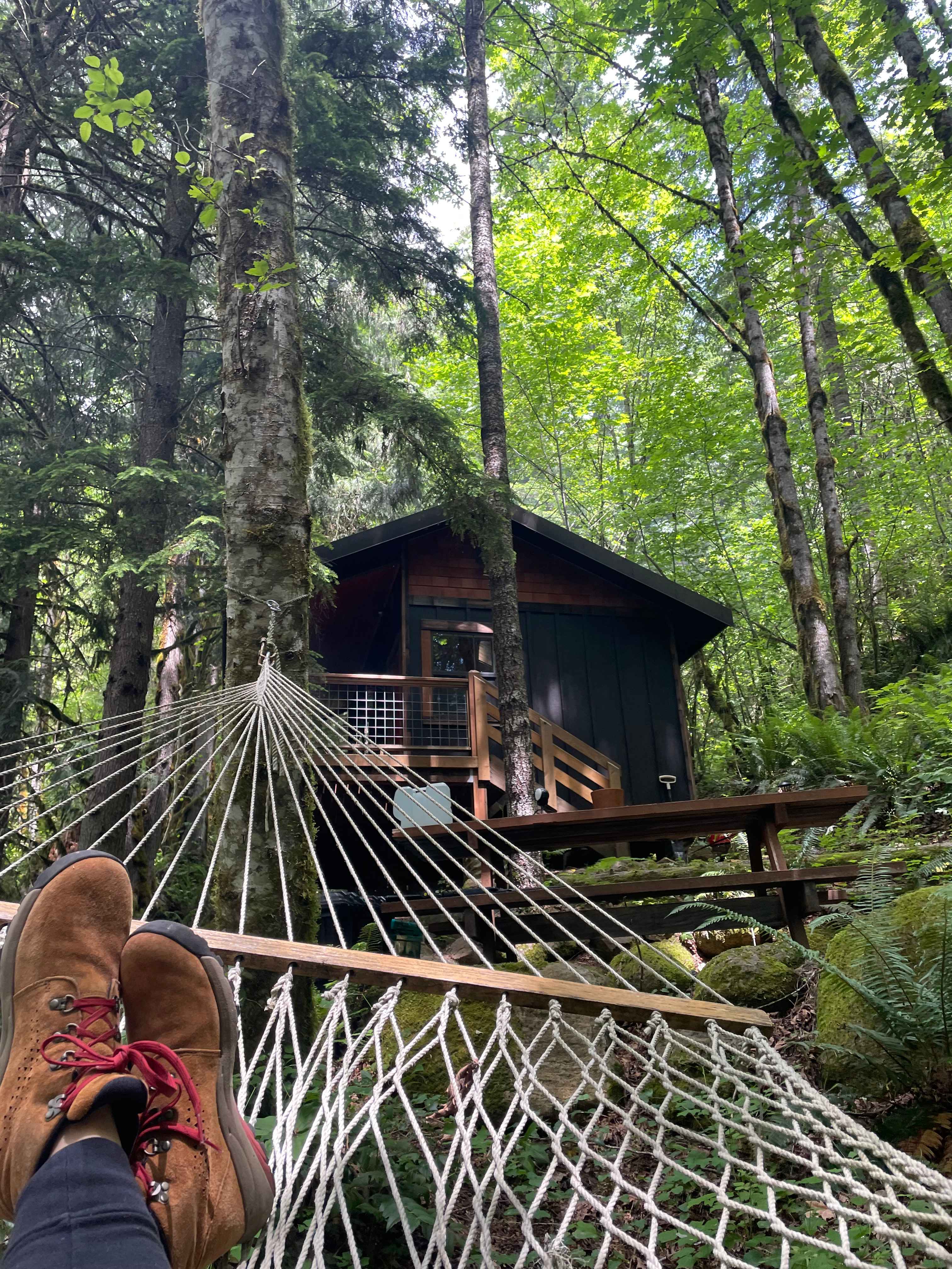 Hammock Naps!