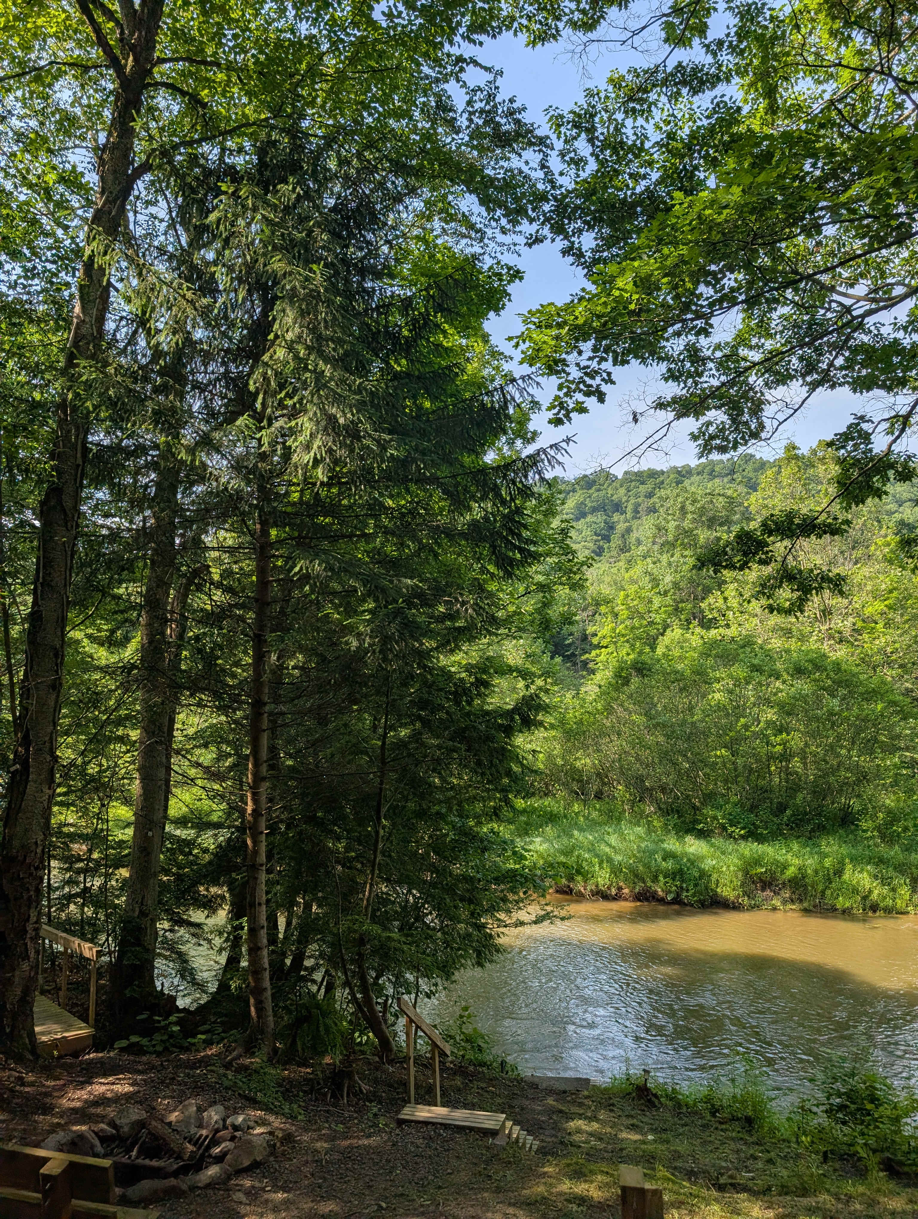 The Nest - Creekfront Cabin In ANF