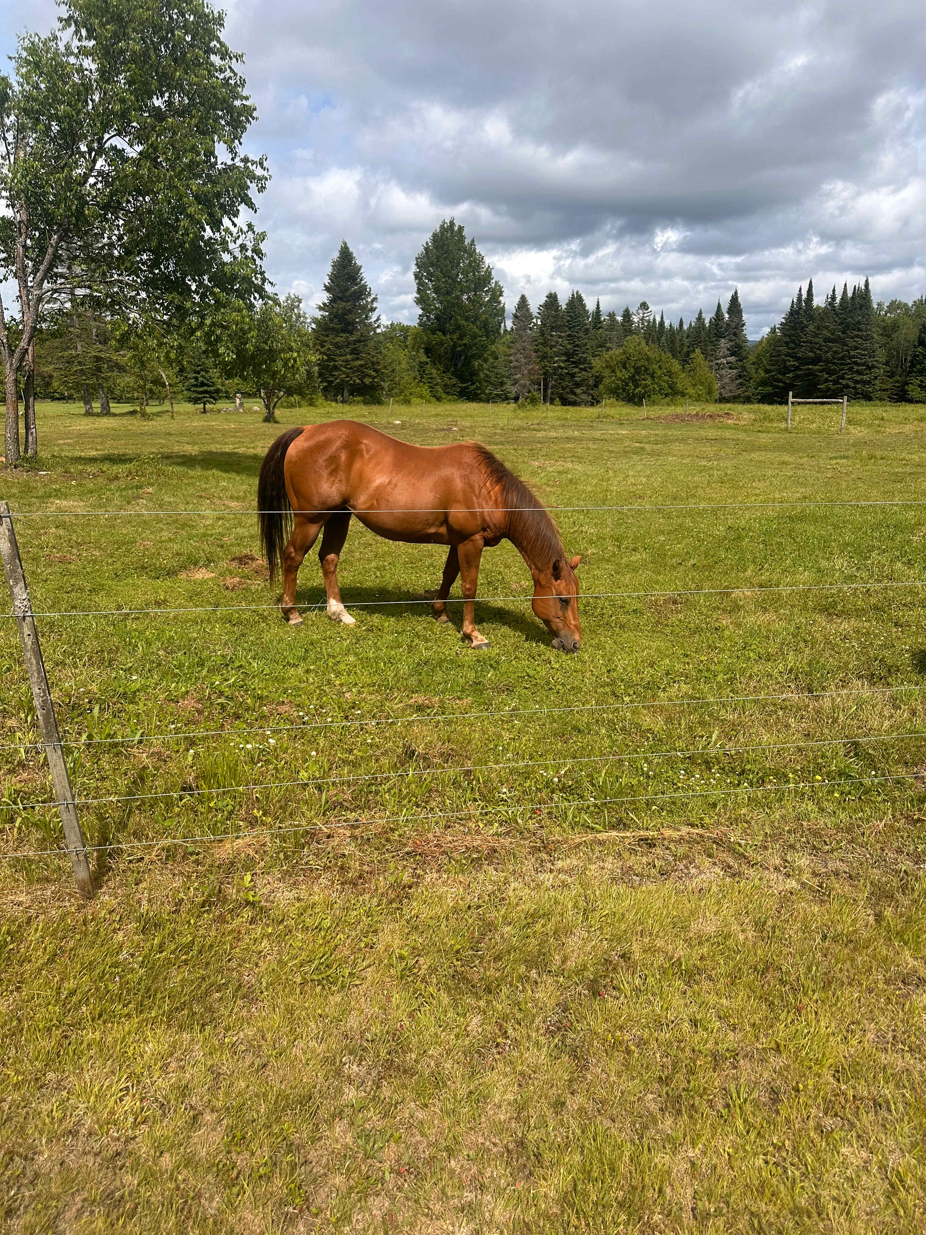 Burke Line Farm