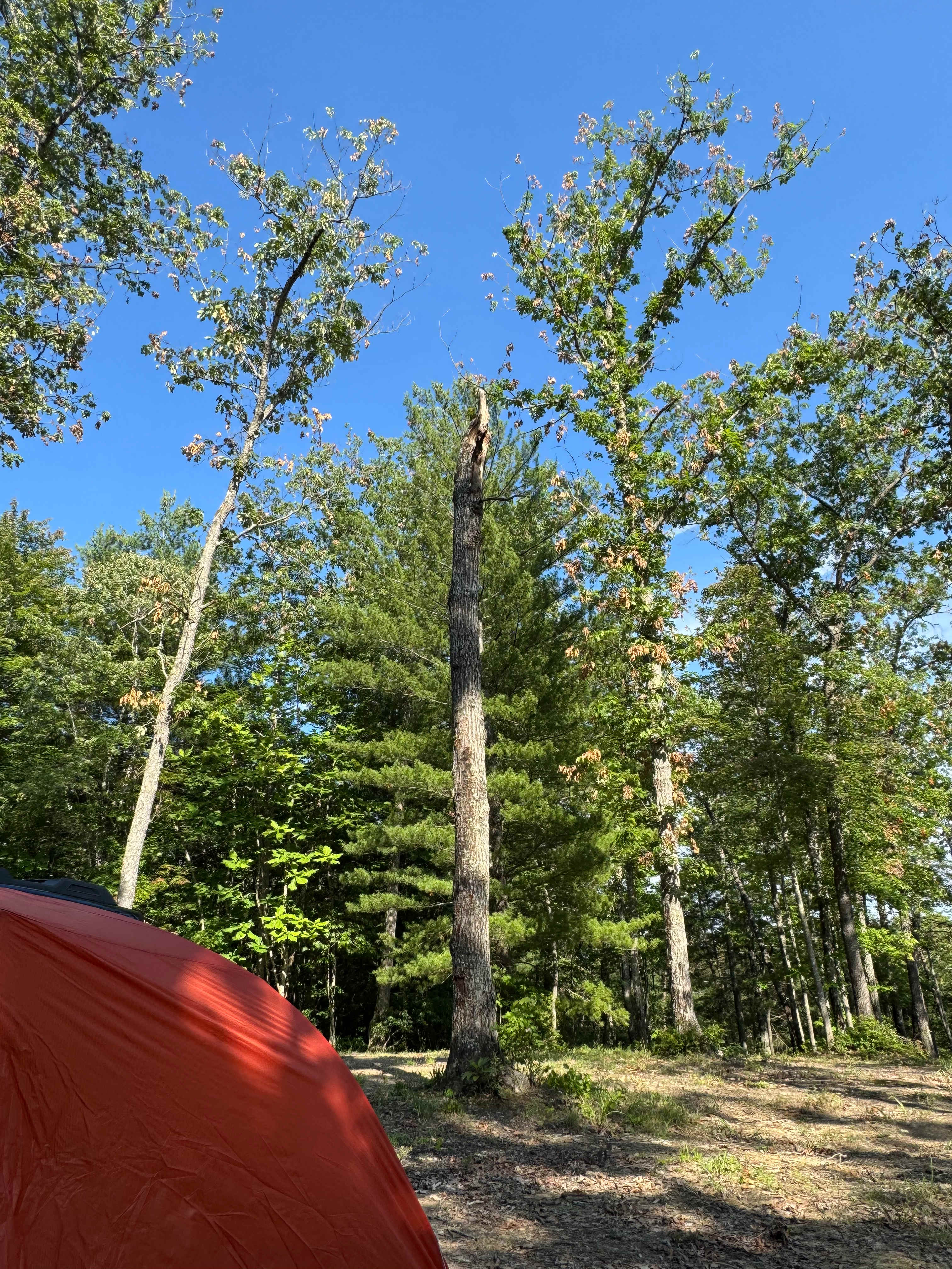 Serenity Camp
