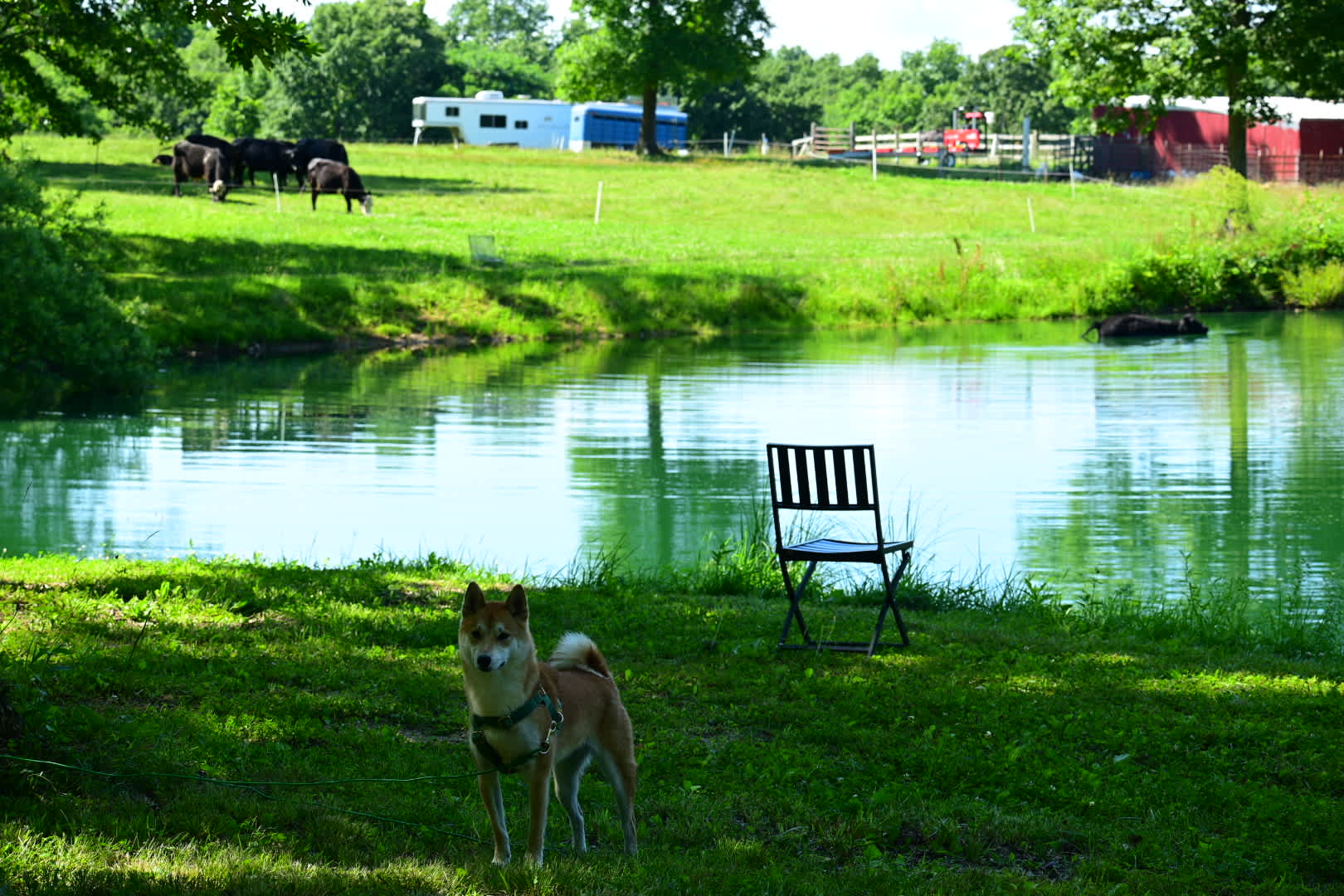 Hawks Bluff Farm Campground