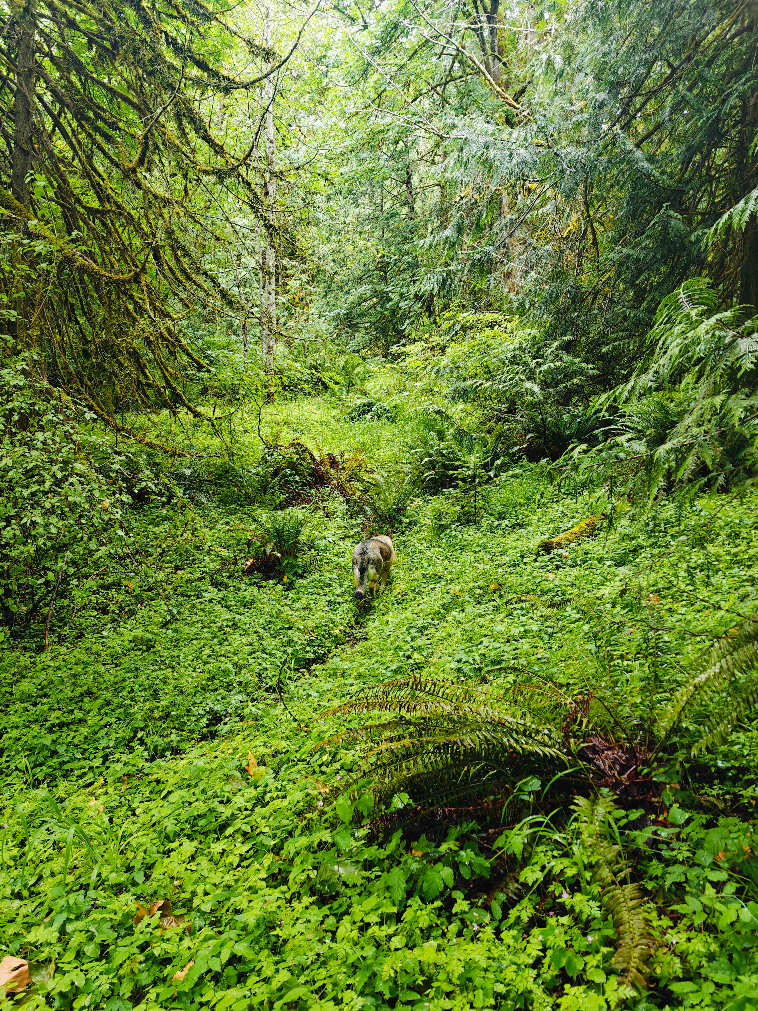 Ravens Ridge