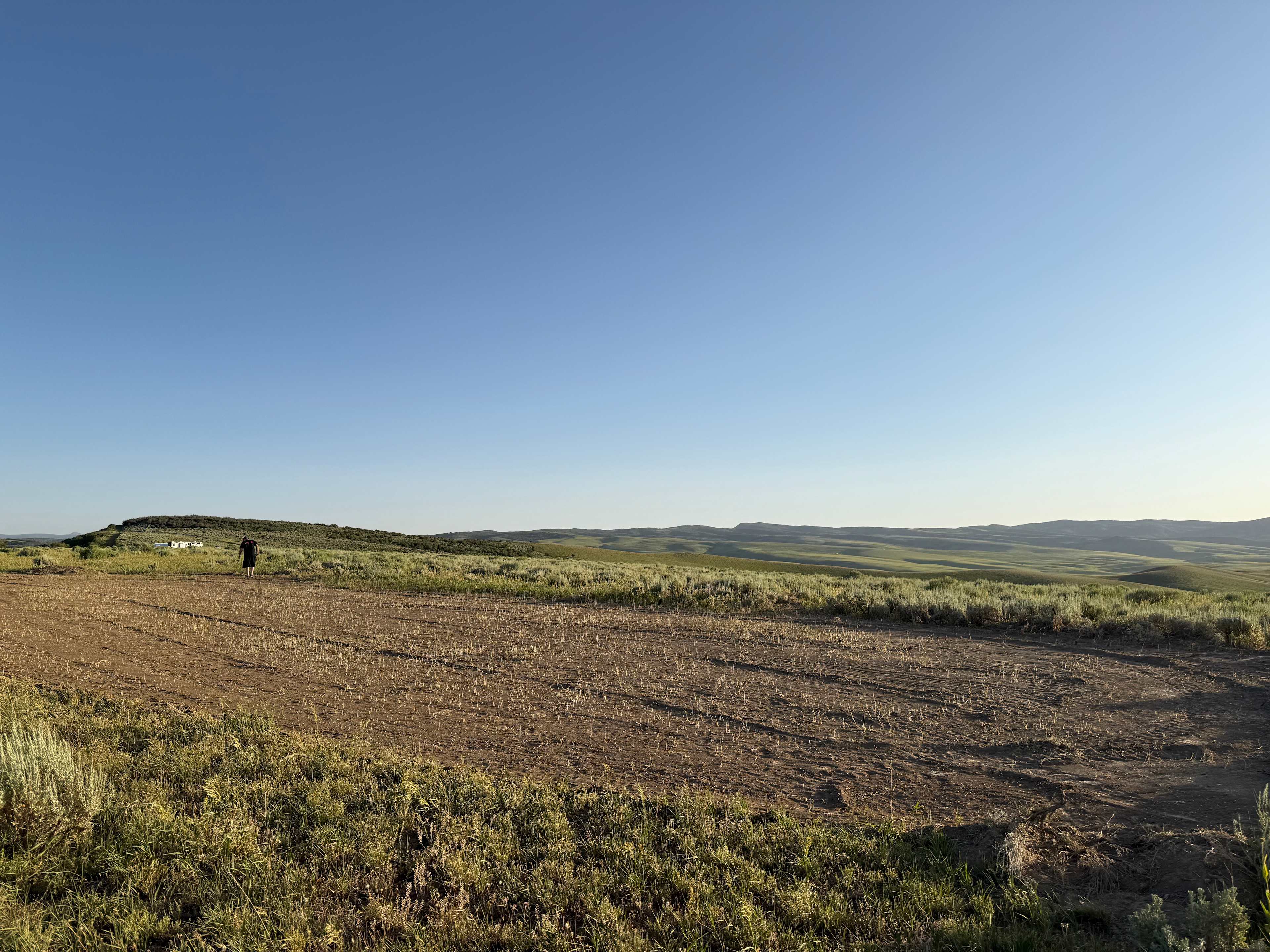 Sagebrush Solitude
