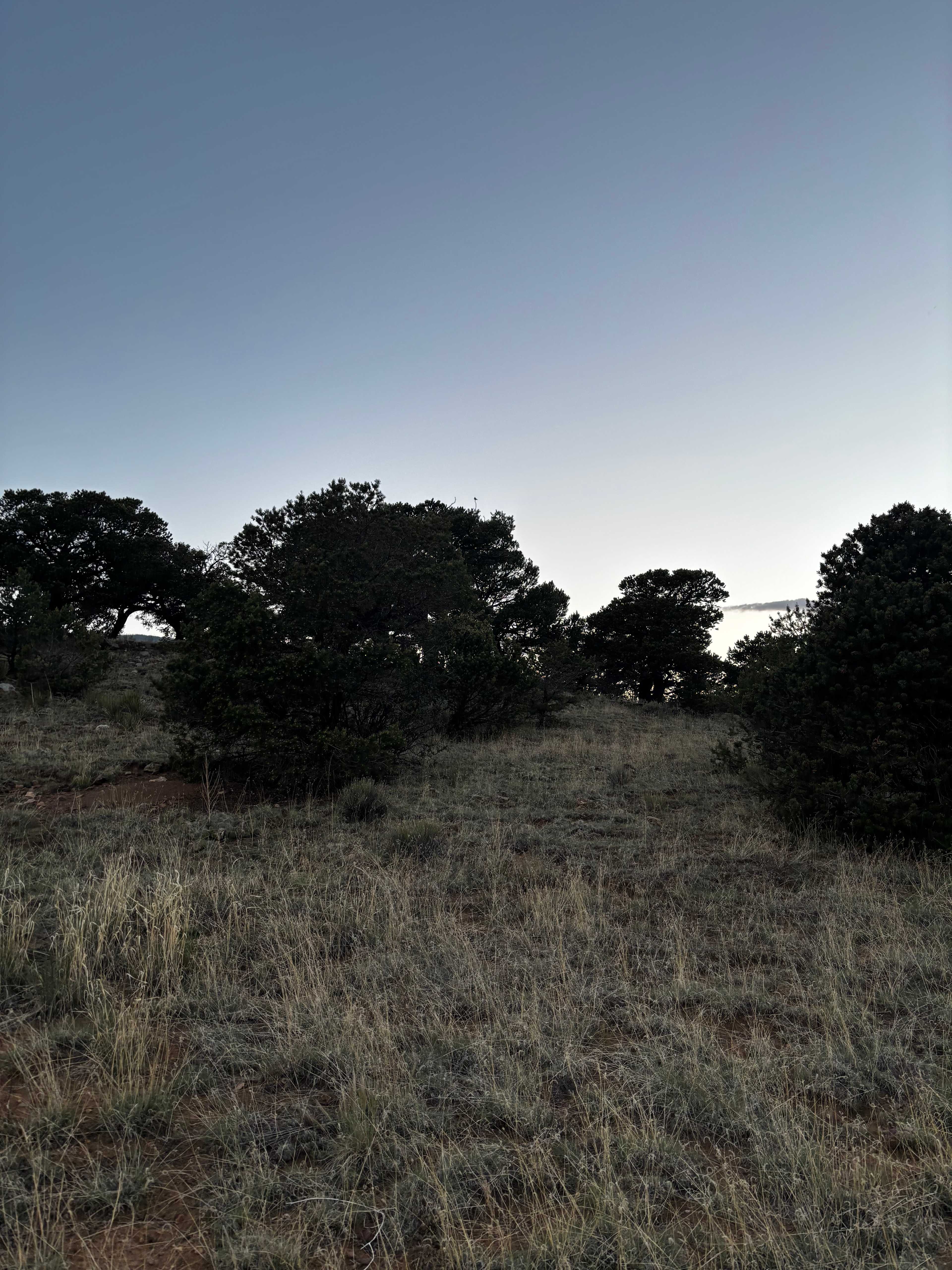 New Sky Ranch : Eco-building + Art