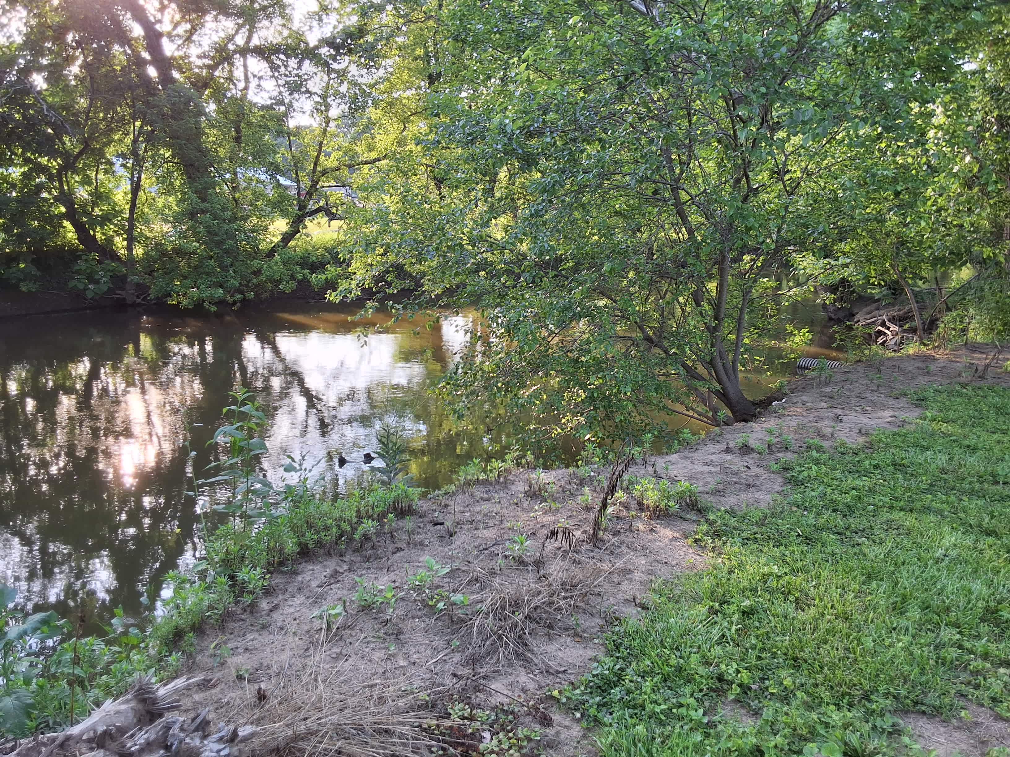 Lot Down At The River
