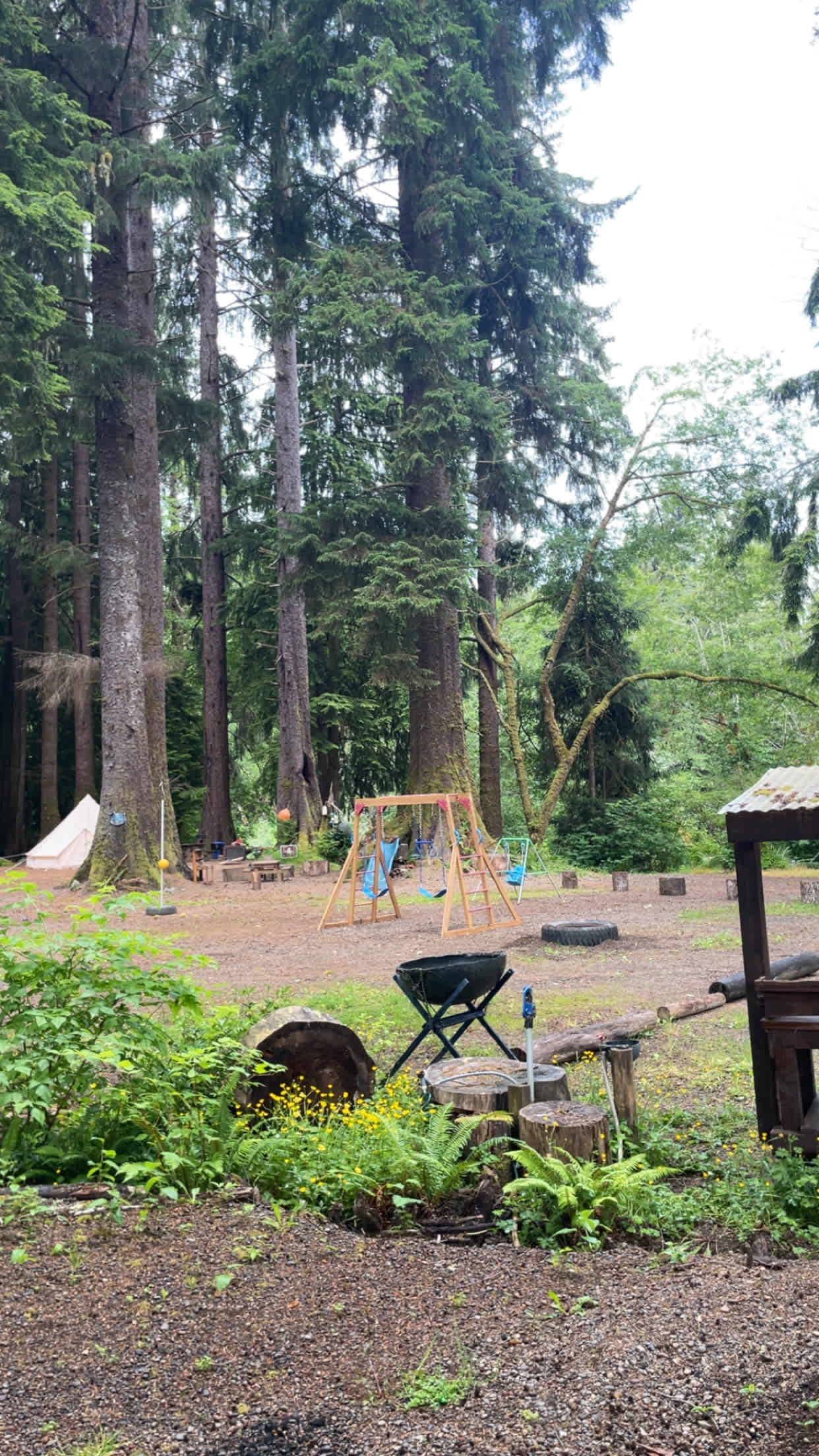 The Ultimate Camping Trip