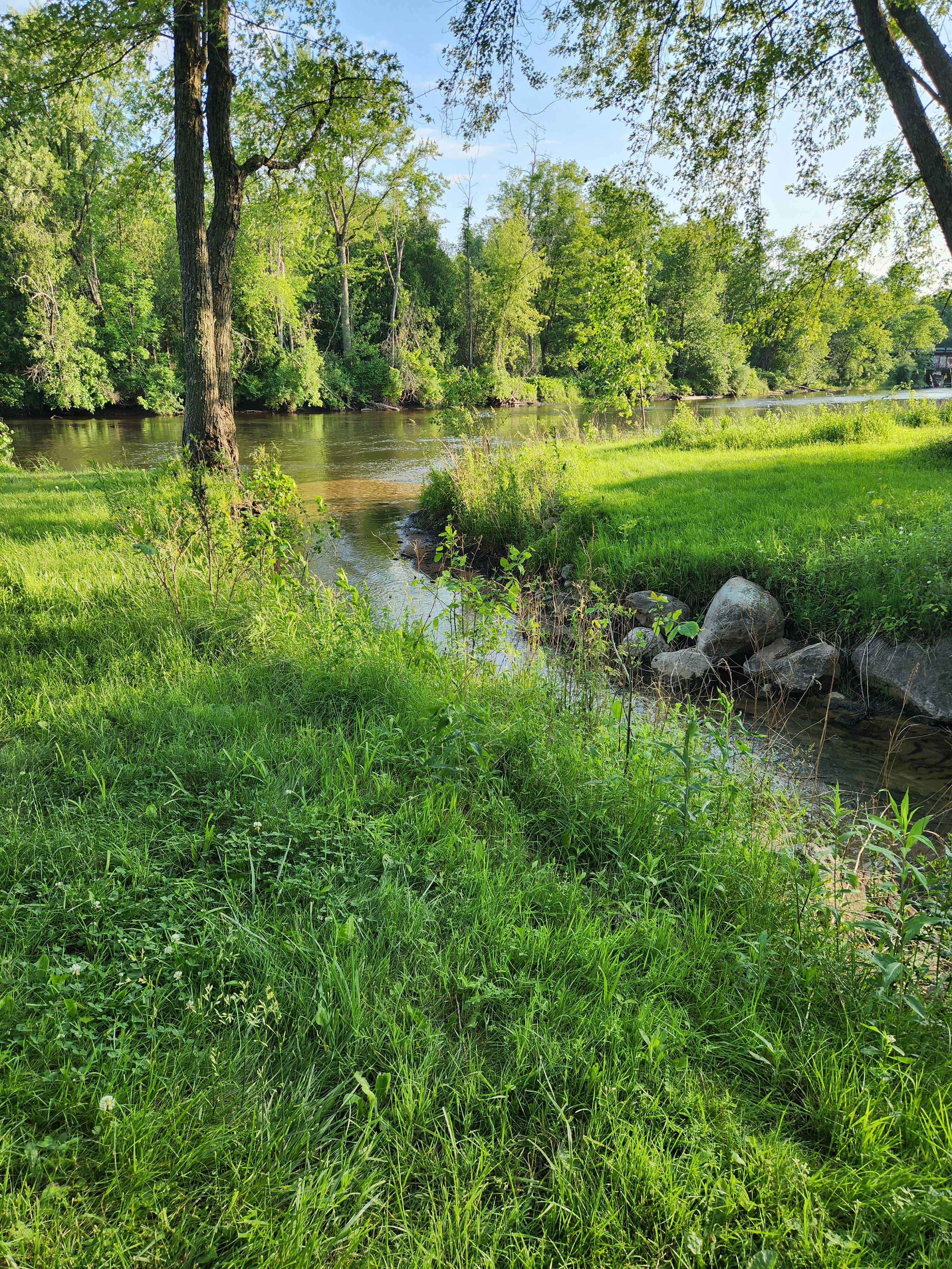 Doriath Springs