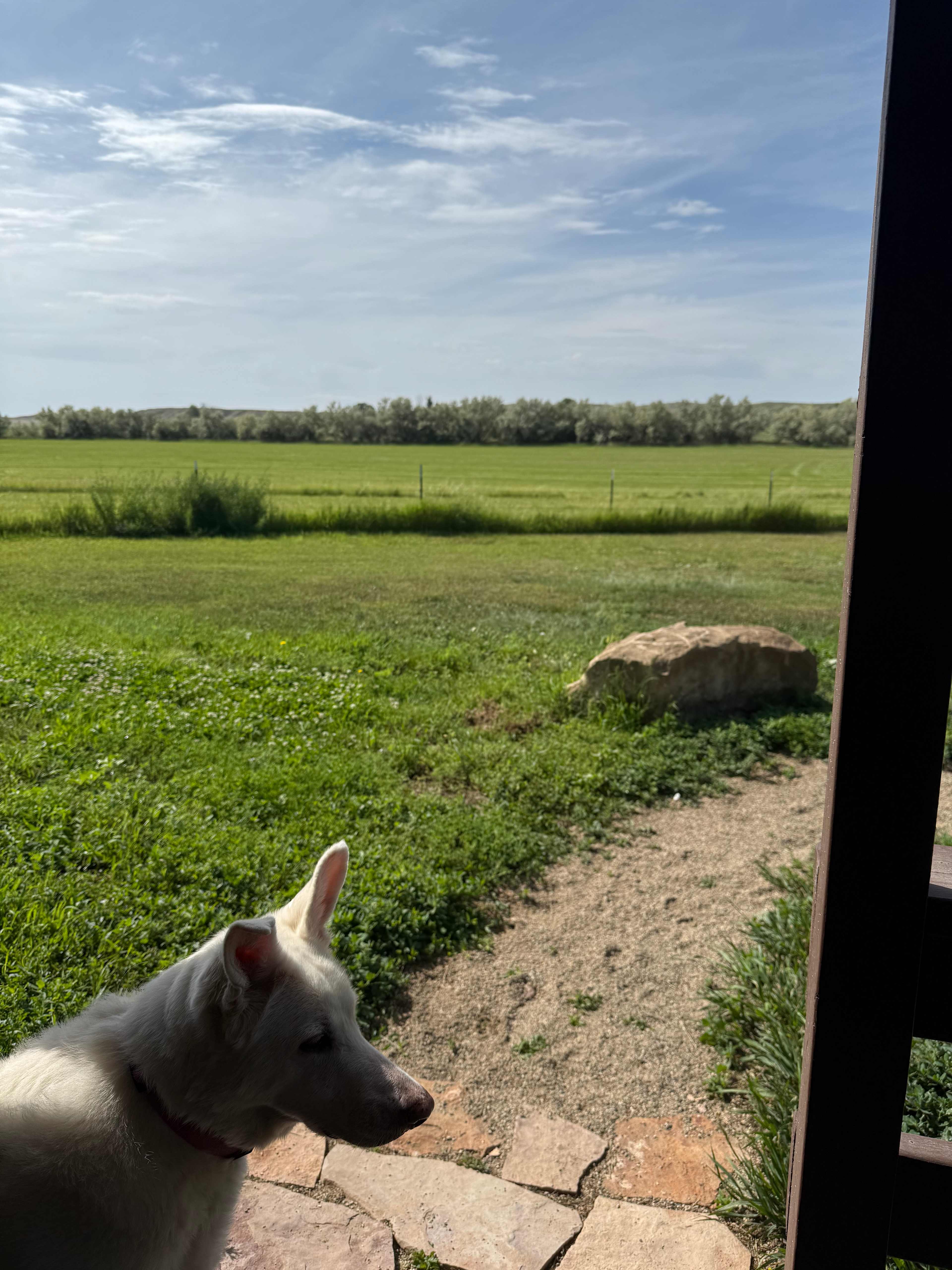 Wolf Haven Cabins